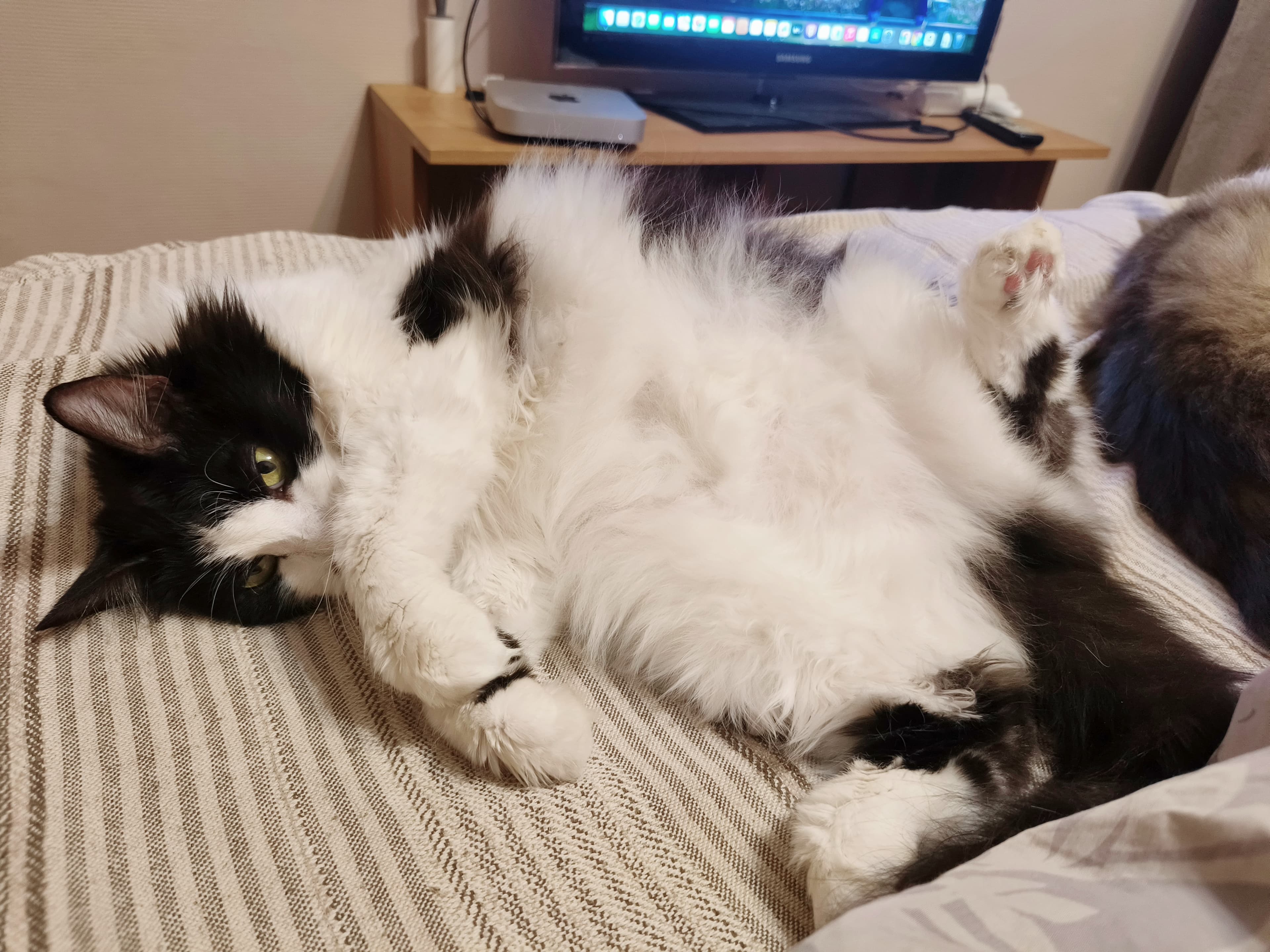 slide-004a3c41-c8ed-4f51-8a2d-478638261cdf