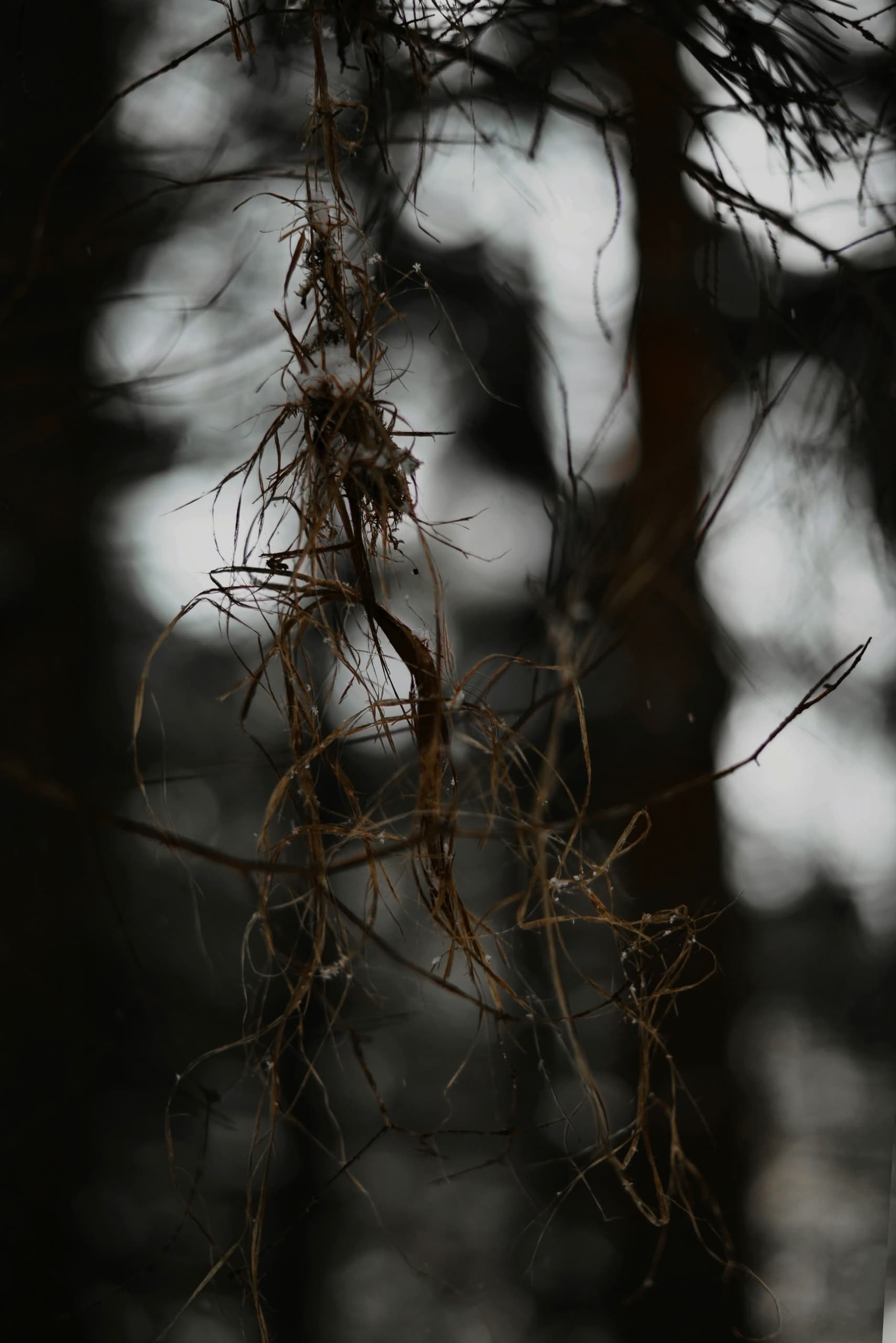 slide-00927ddc-641b-4877-8854-08da151fc953