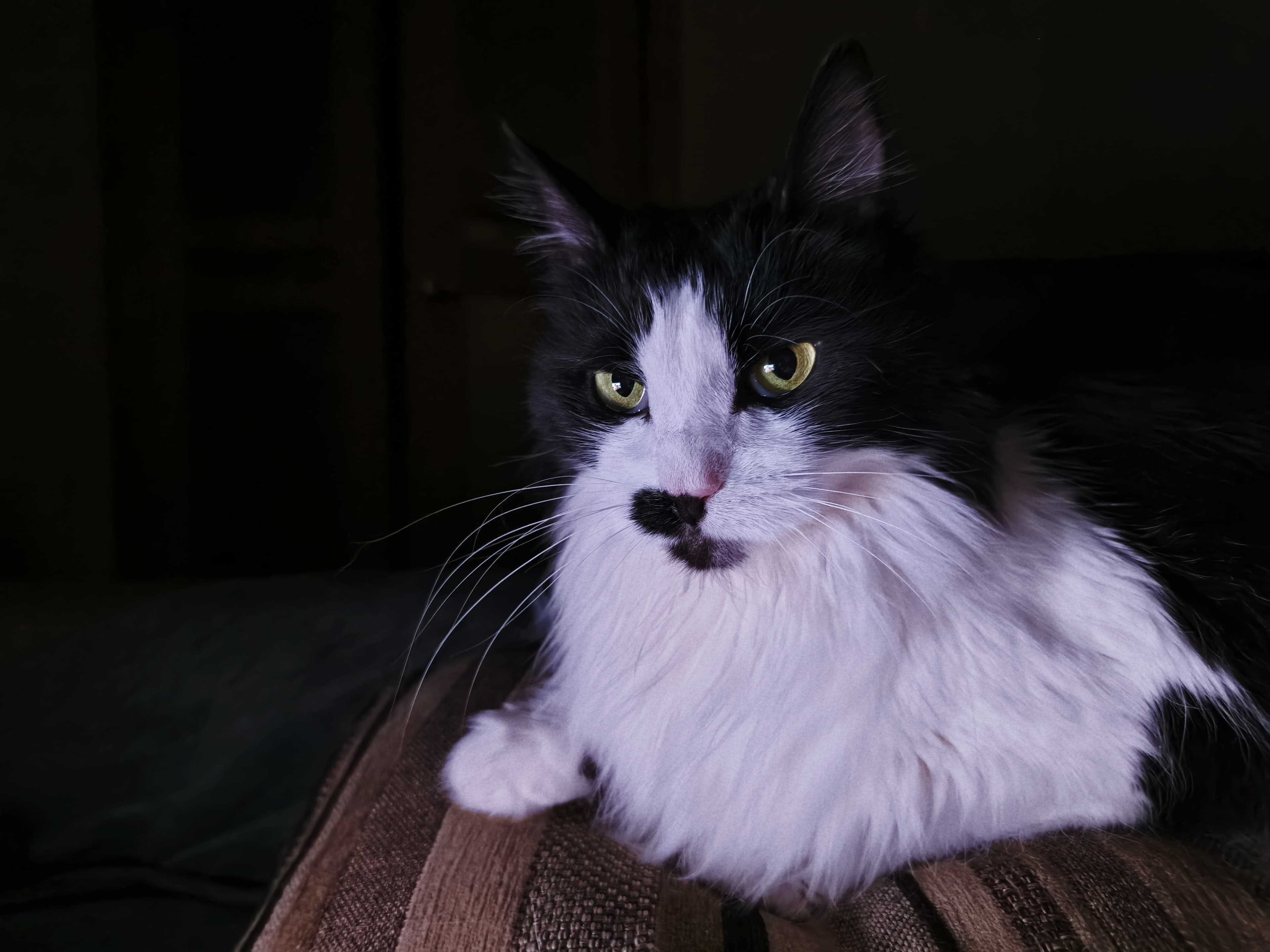 slide-01a59ffd-de95-49f9-bb62-01f5b4771a13