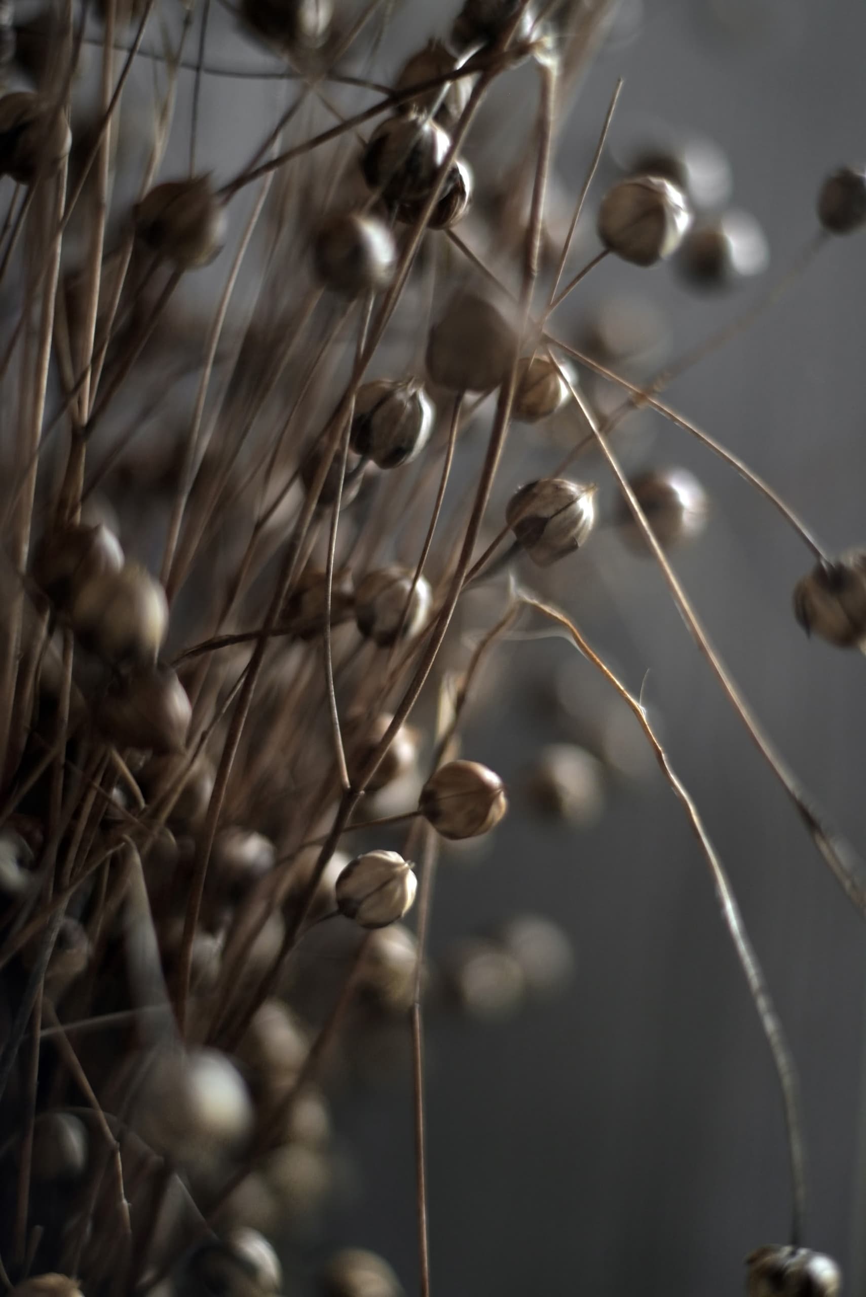 slide-02079d8d-133d-42e2-9ebd-1c61b87ecd53