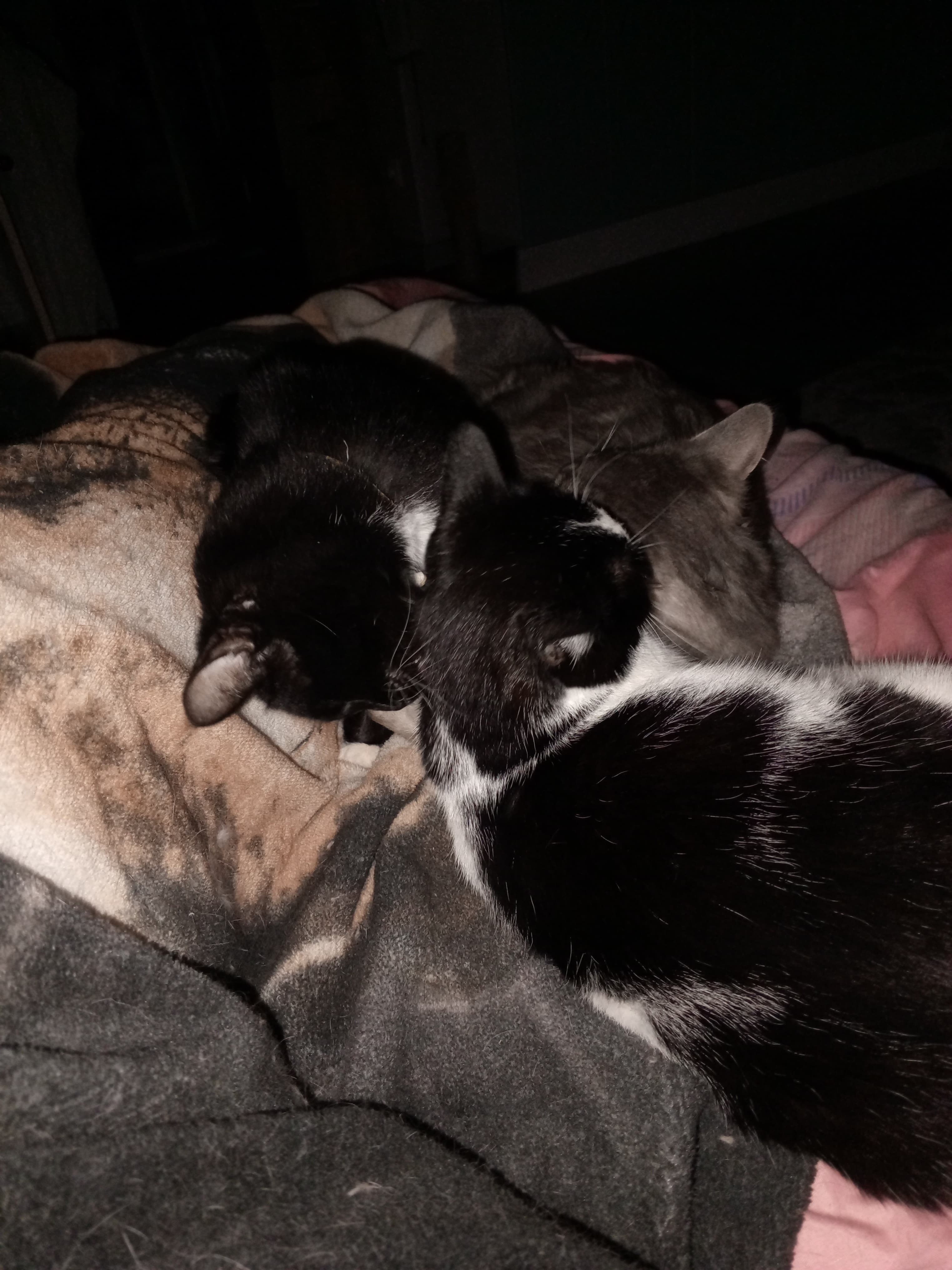 slide-02e1628e-7ccd-4b86-8a89-3858a1d35854