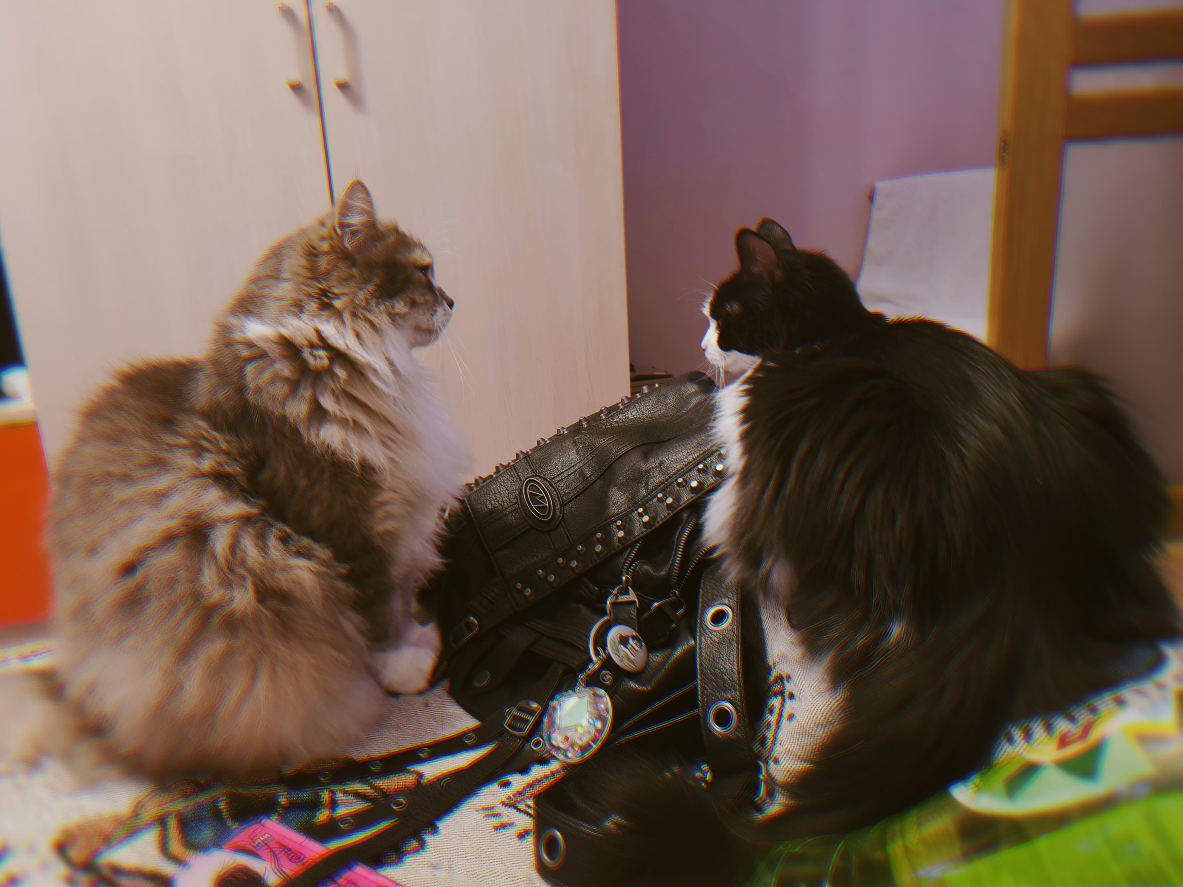 slide-037dc92a-268d-4429-8854-1bbd6c511cdf