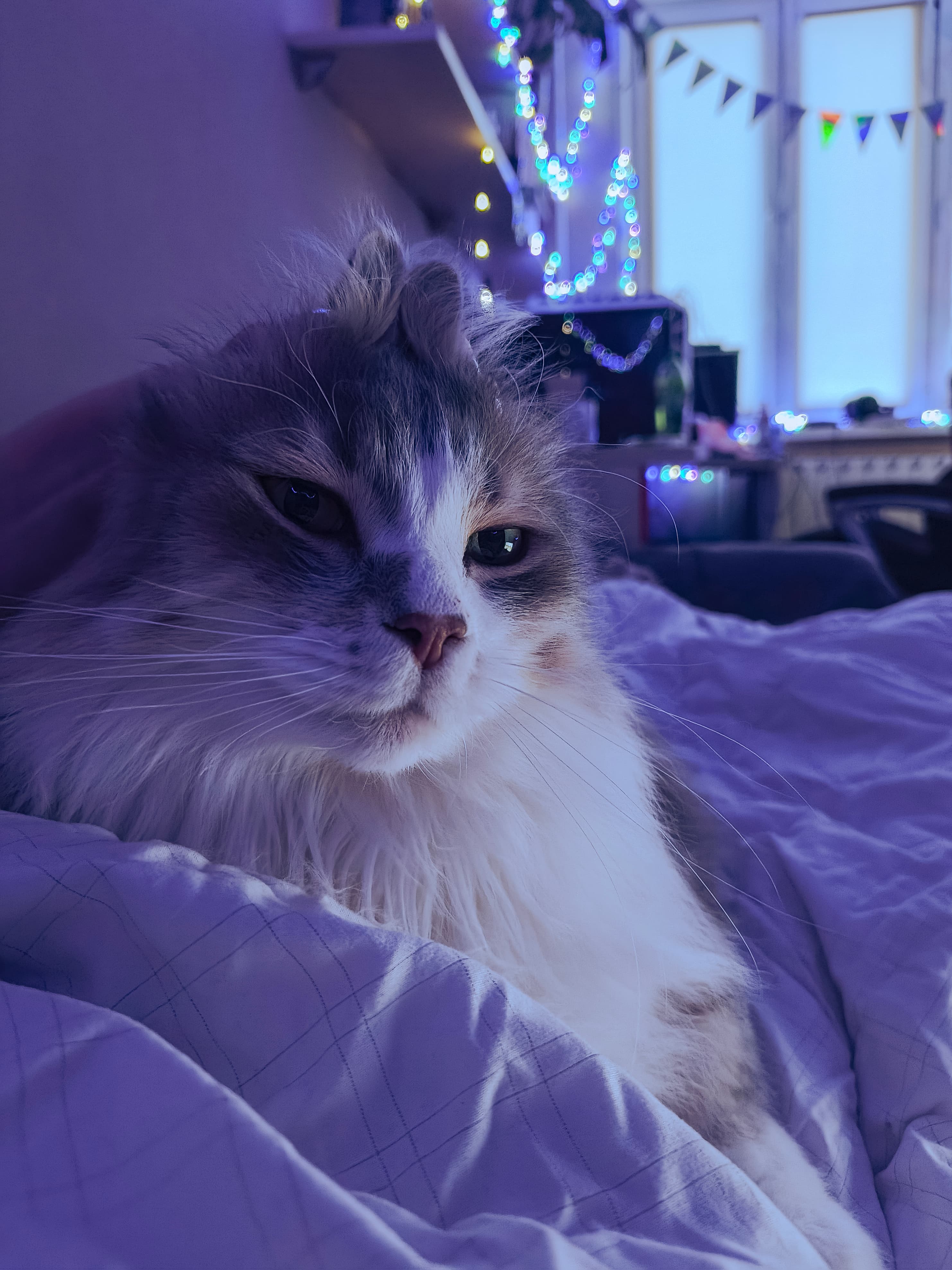 slide-06813305-846c-47d7-83fa-4f25b8612242