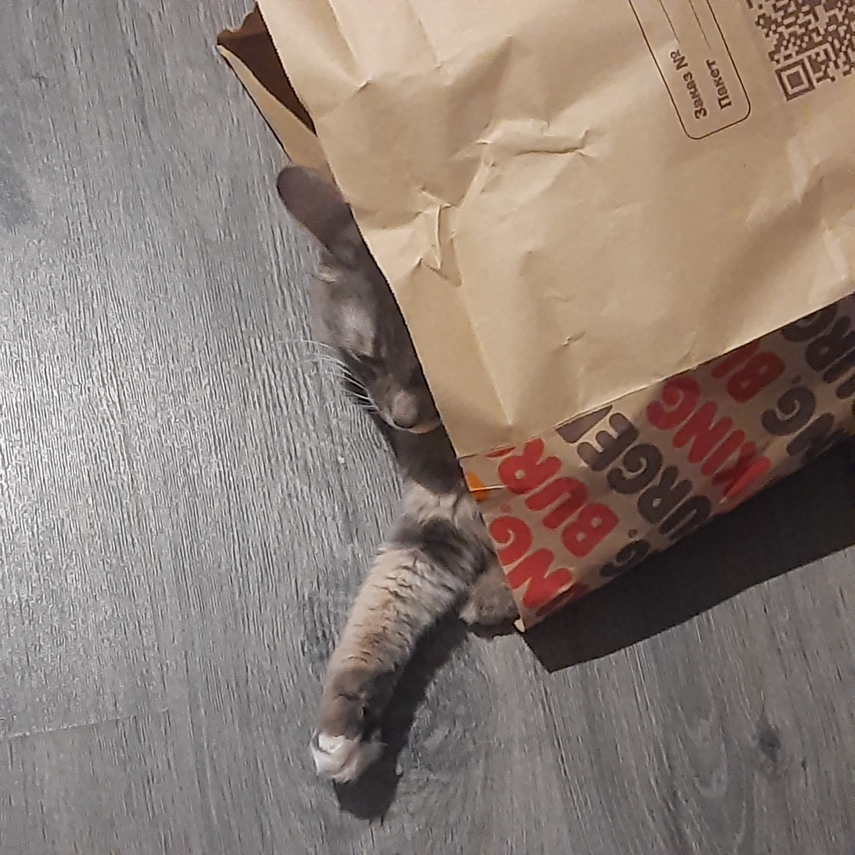 slide-0832883d-8a3c-42c3-9417-1041a04277ee