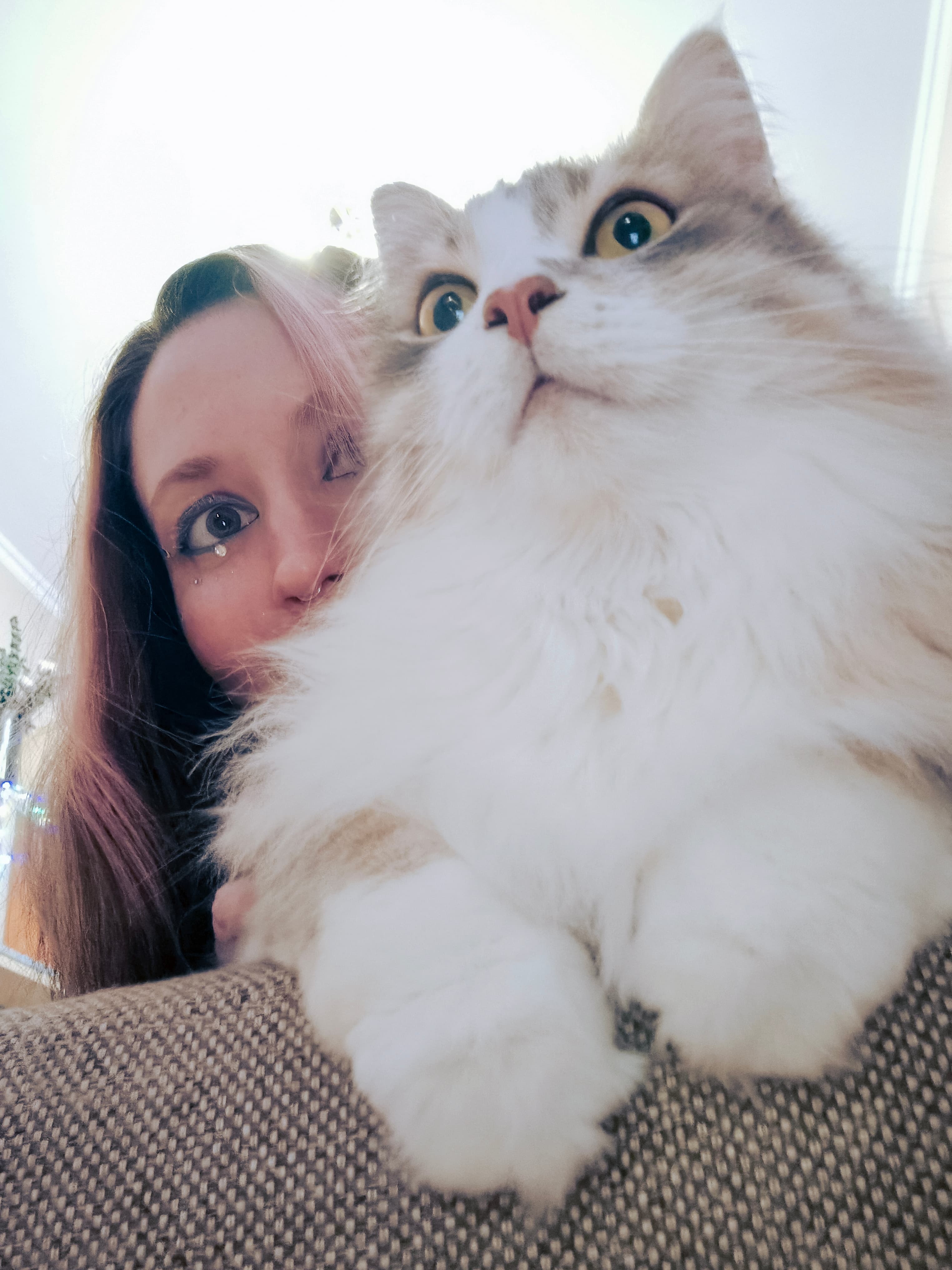 slide-0968375f-a6b5-4f7c-b961-2600ac07939b