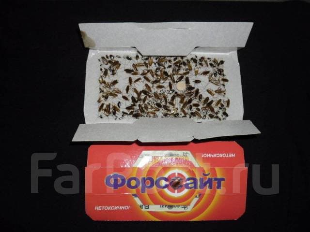 slide-09fd2a12-a8f3-4e3c-a9b5-1c5a2beb46cc