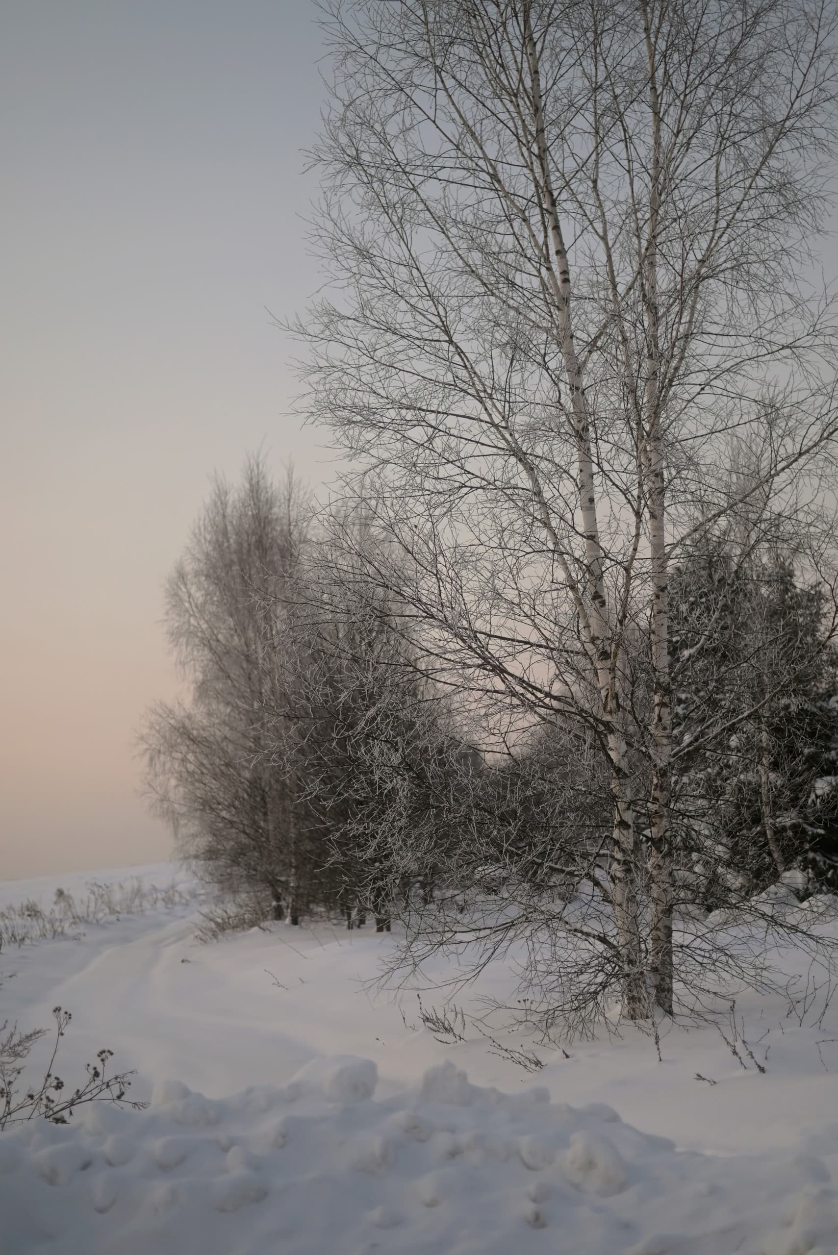 slide-09ff898d-4c81-4c19-9f8a-53f7caa2686b