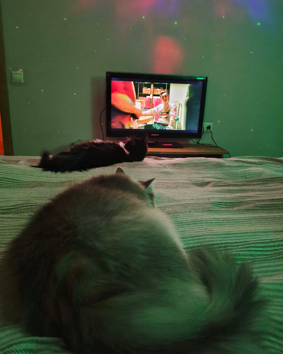 slide-0e93092b-0e4a-4559-ba49-0dad8ff7bd1f