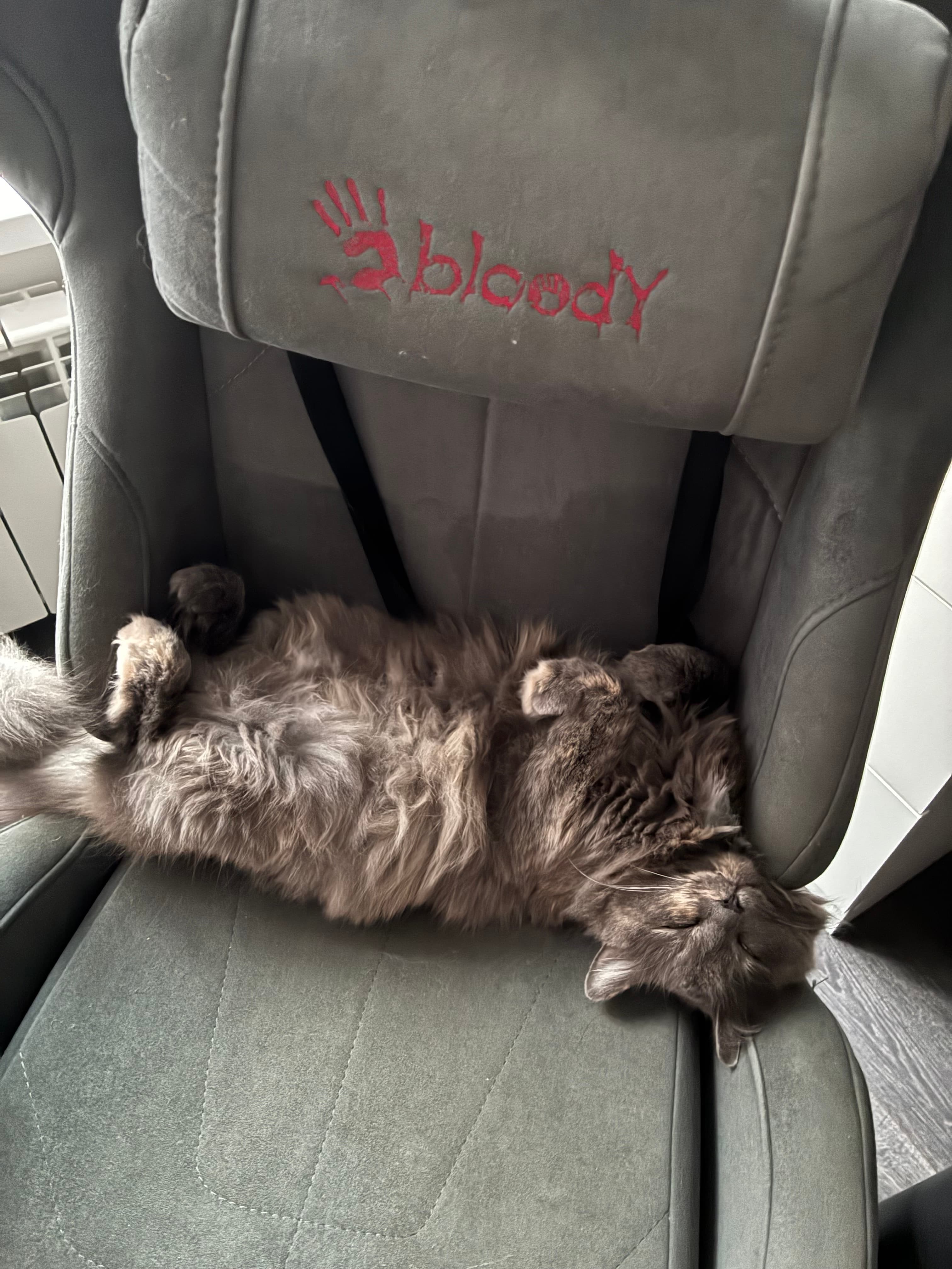 slide-1067676d-1b66-4fc7-b954-8d55c4e98485