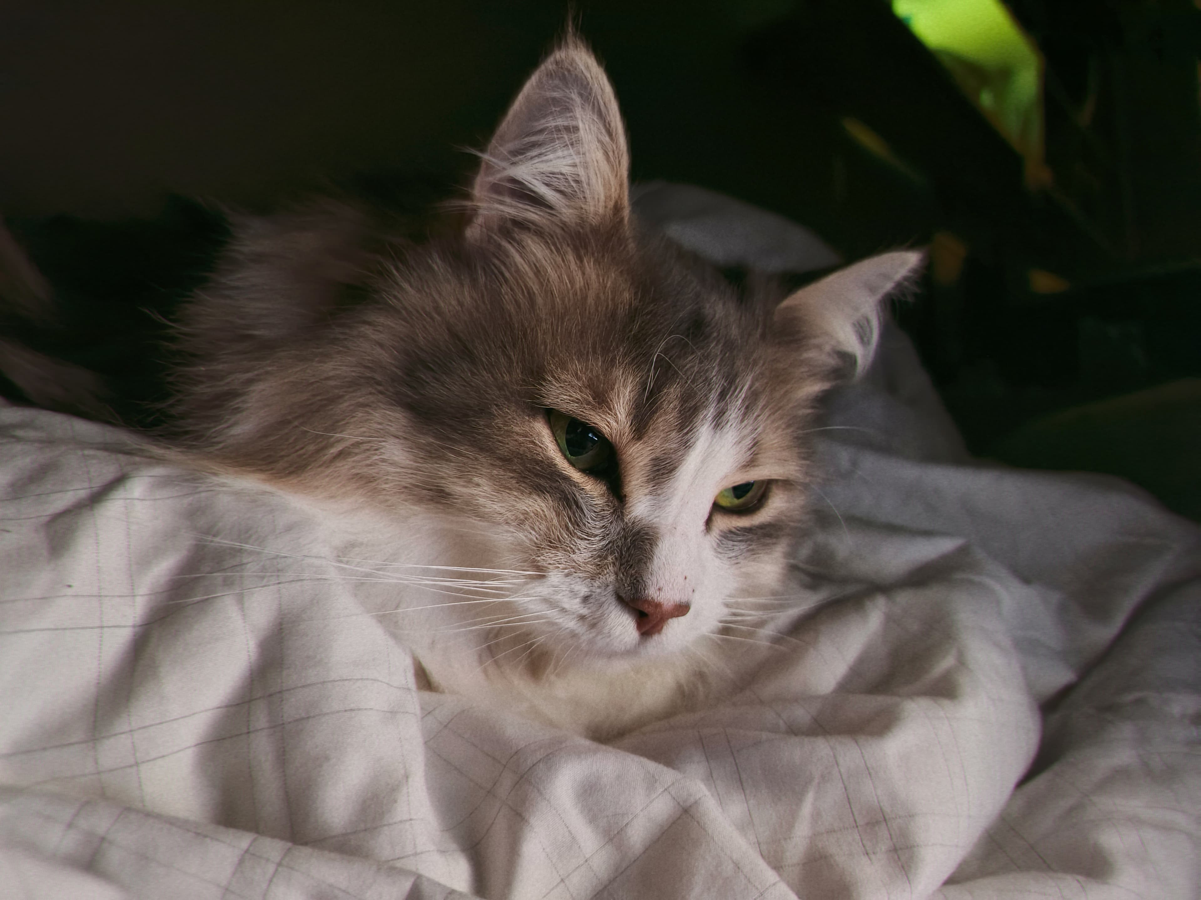 slide-11b8265e-0a1d-4dd3-841c-bf051b178f18