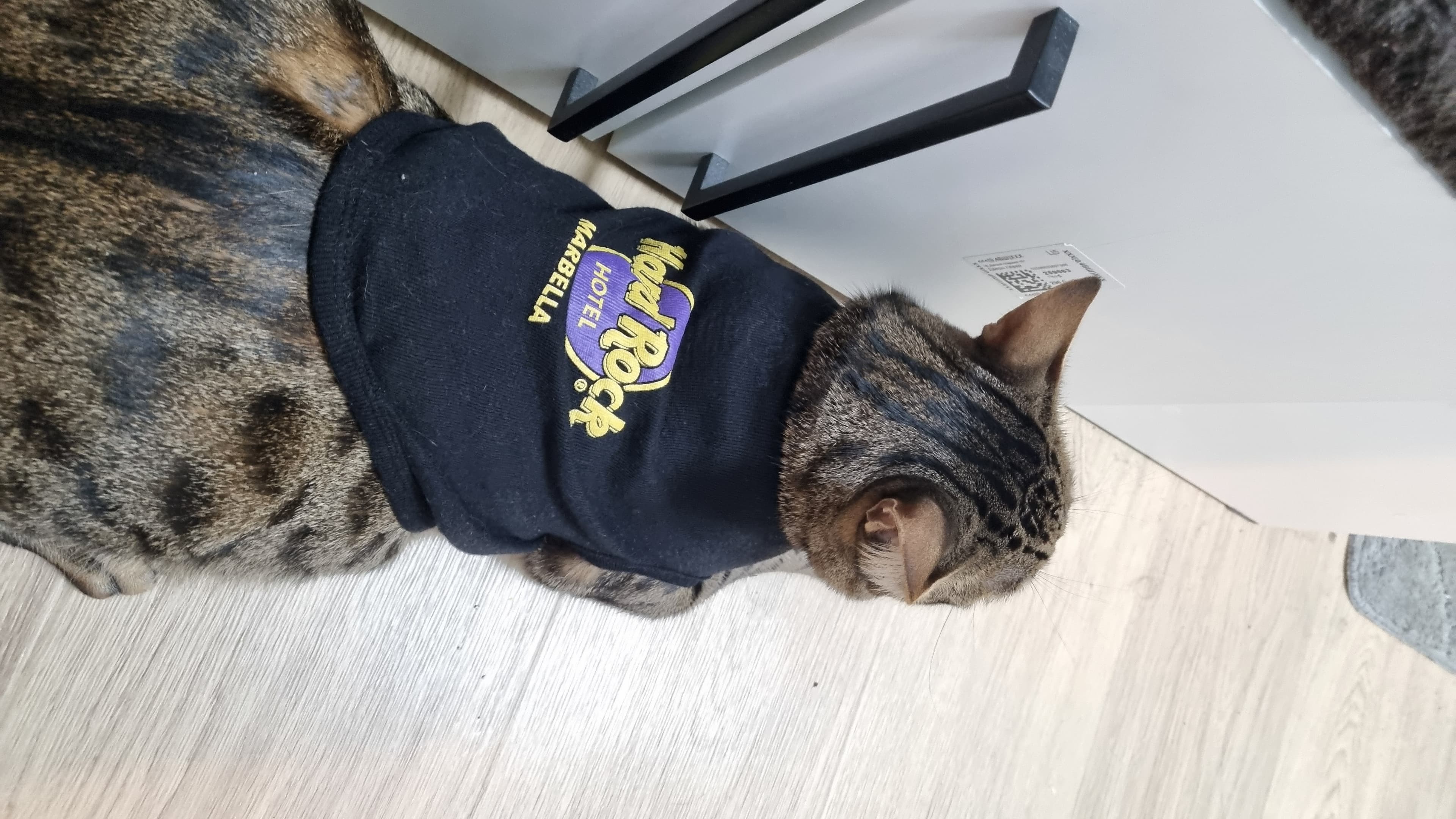 slide-129faca0-0ca1-4c56-890f-ec42ba955b64