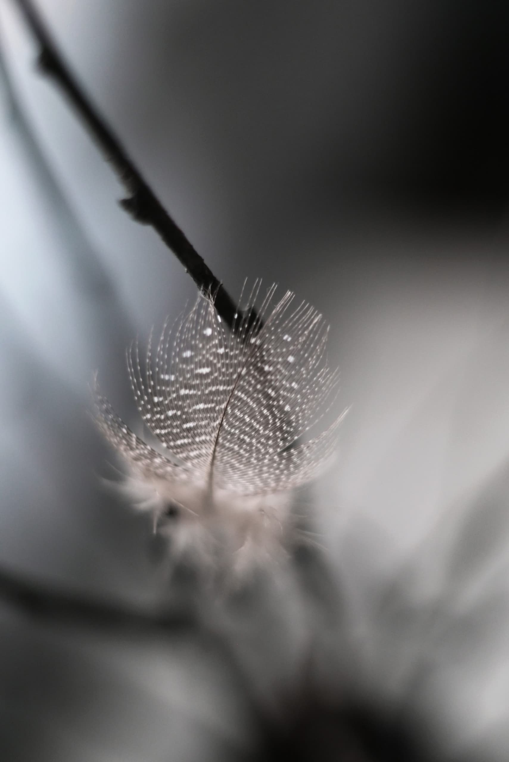 slide-1389fe29-75ad-4367-a315-5c8ce5956579