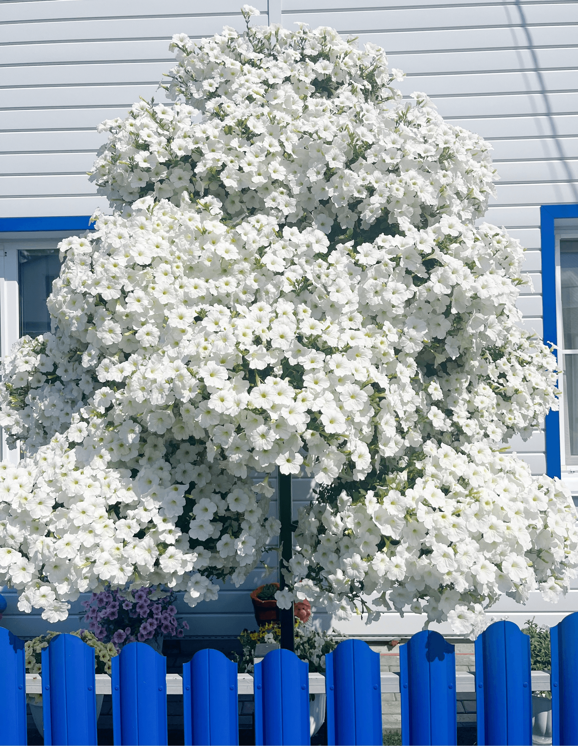 slide-1639159a-af00-4c41-8ca6-37708f3b491f