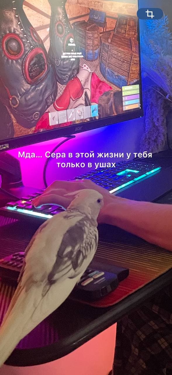 slide-1822f503-55b5-4aa9-8125-ddb8e4f4d7b5