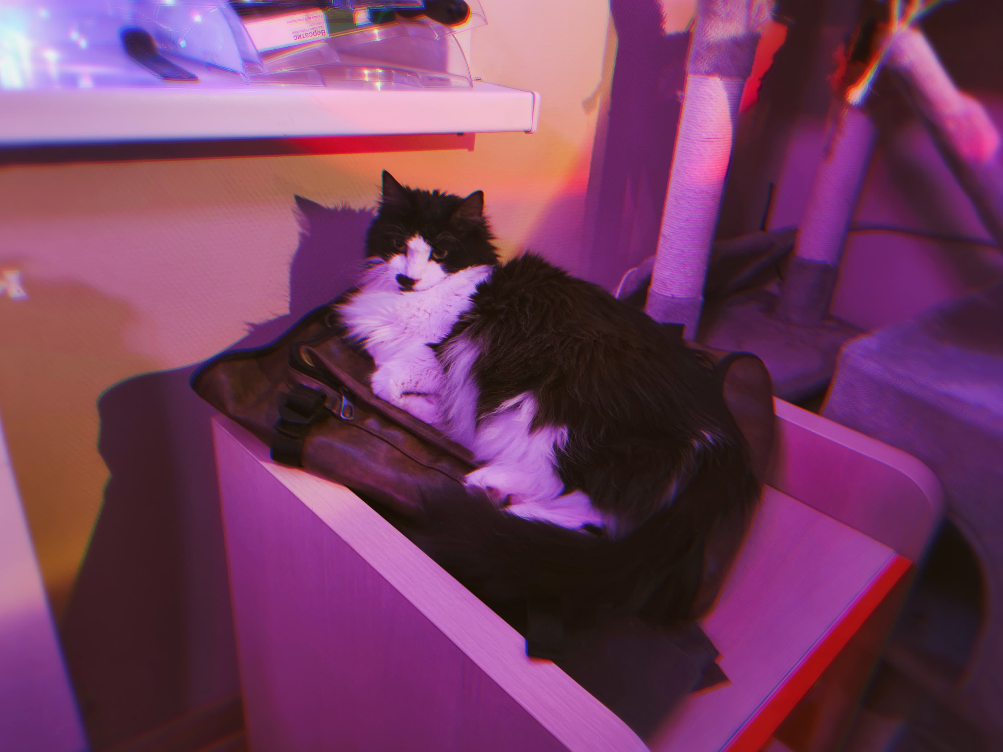 slide-18865b8b-d415-4eb2-aa35-9bdff22e33e8