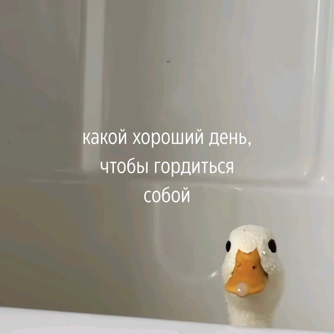 slide-1952f1db-761d-45fb-996e-8e33e90aef2b