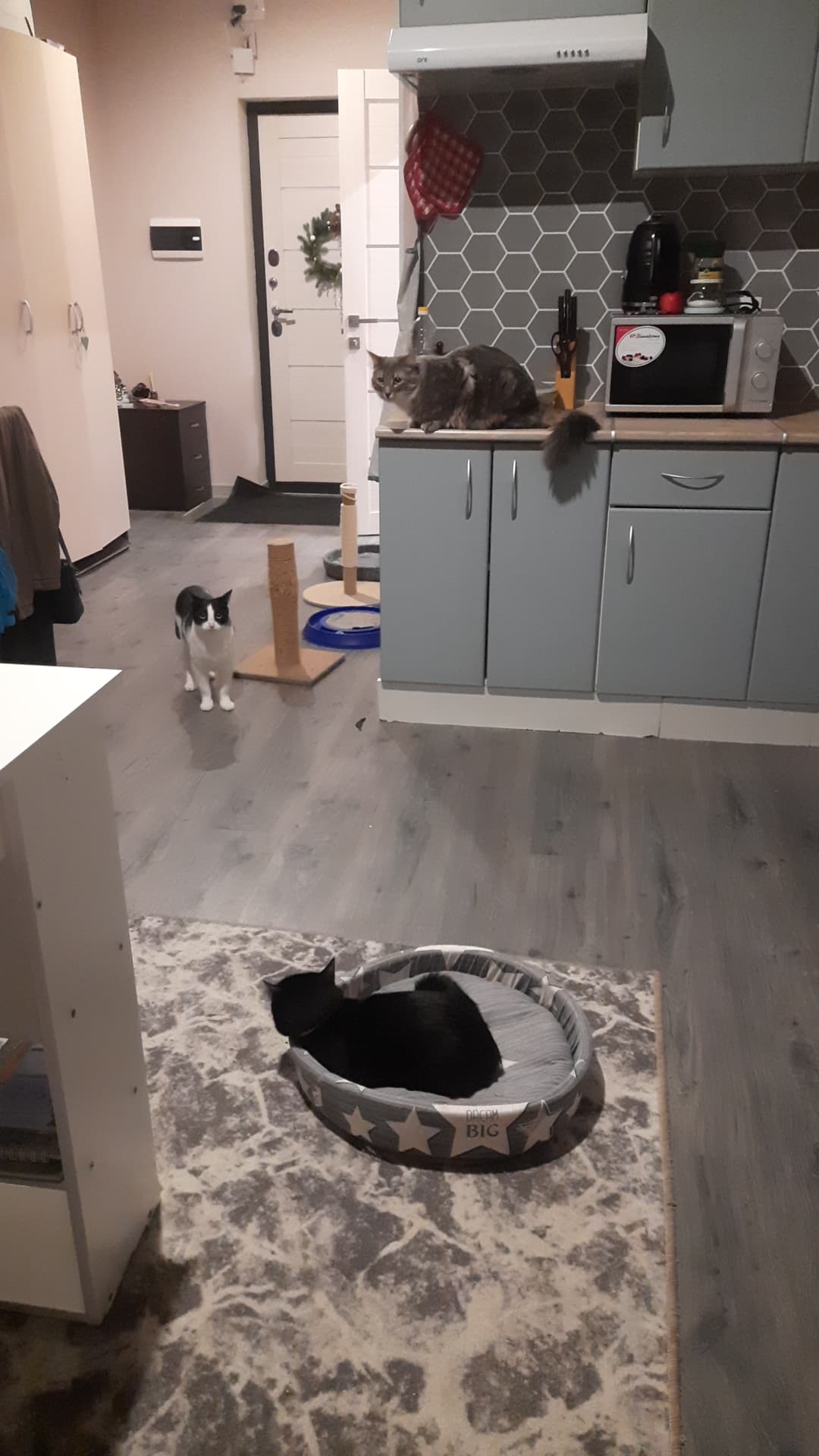 slide-19b89e72-9580-43e6-8a40-2f207d6120f0