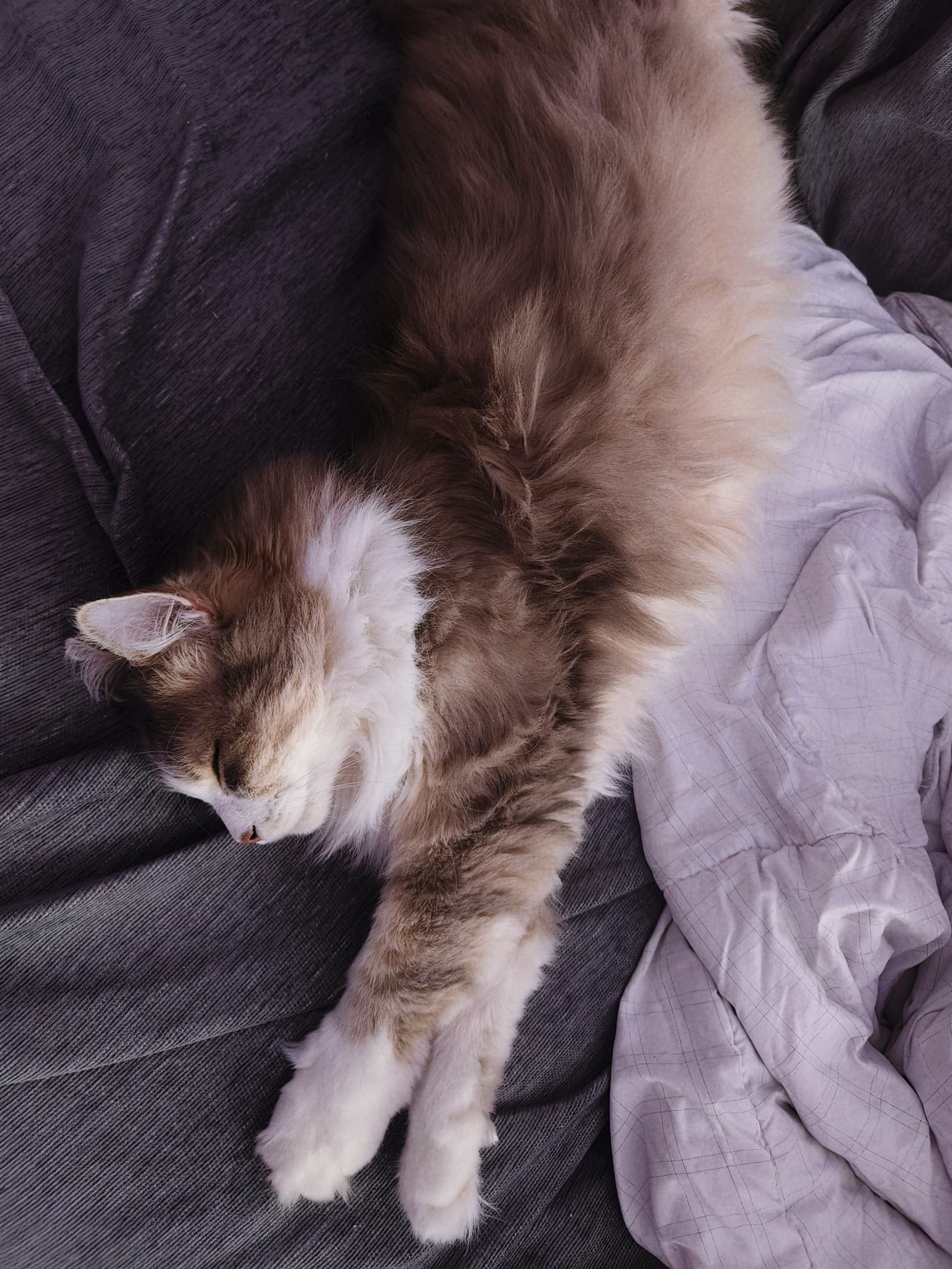 slide-1a70b6b1-2acb-4de5-97e4-31c4d31de151