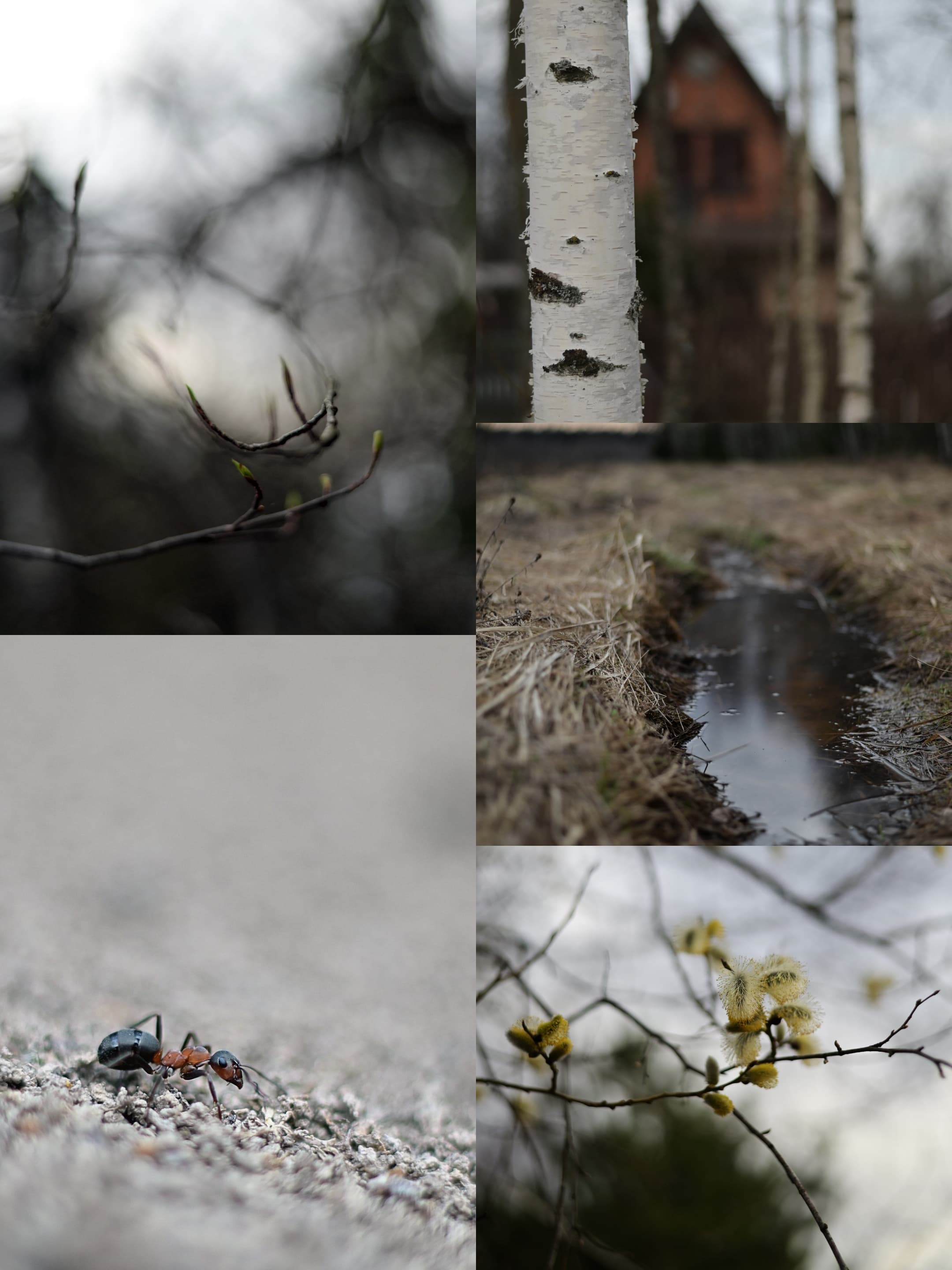 slide-1a7411c6-d663-42fe-aed4-3ad75f5f9fc3