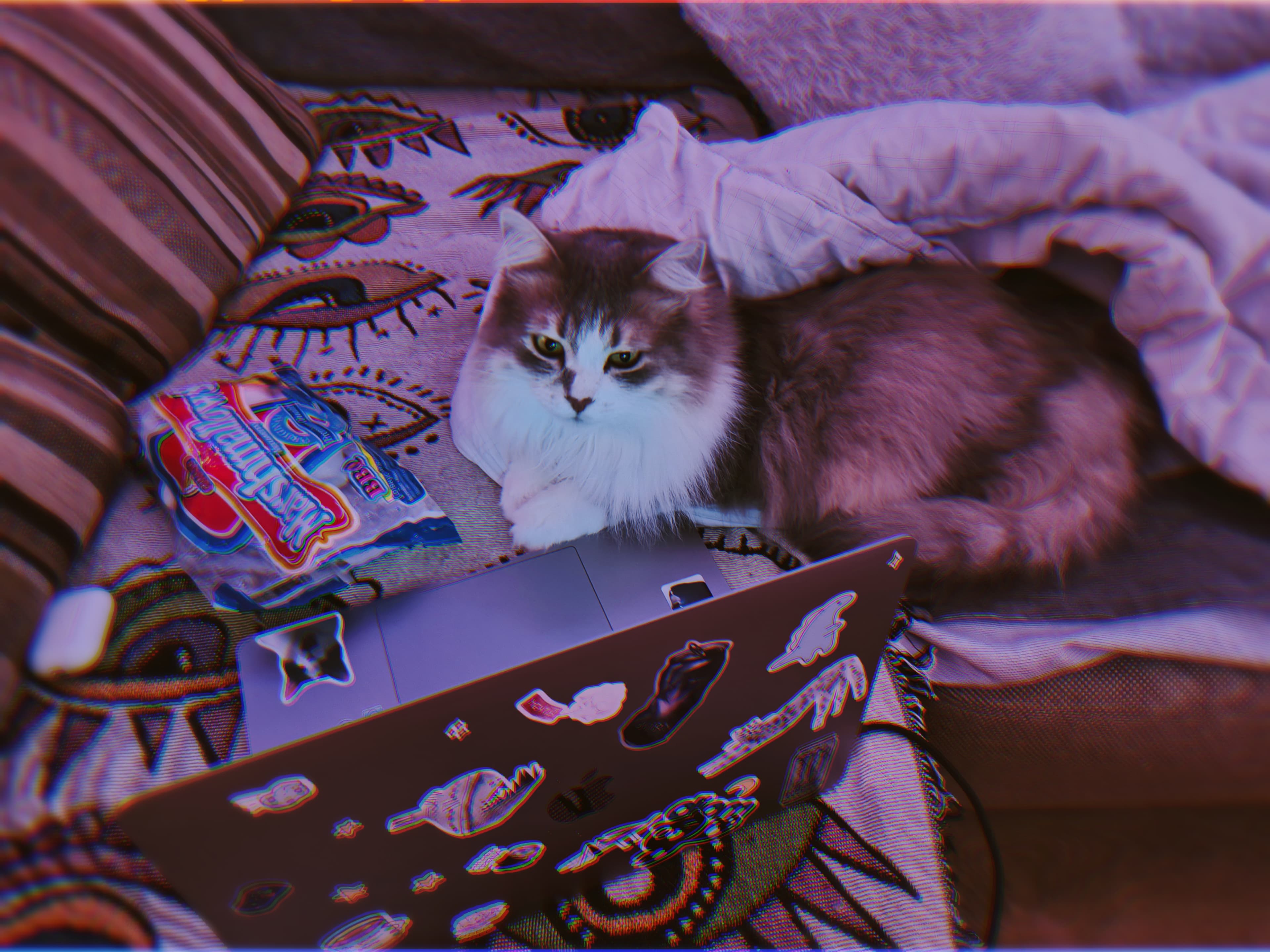 slide-1cdba018-d740-4565-a55e-8879840cf66a