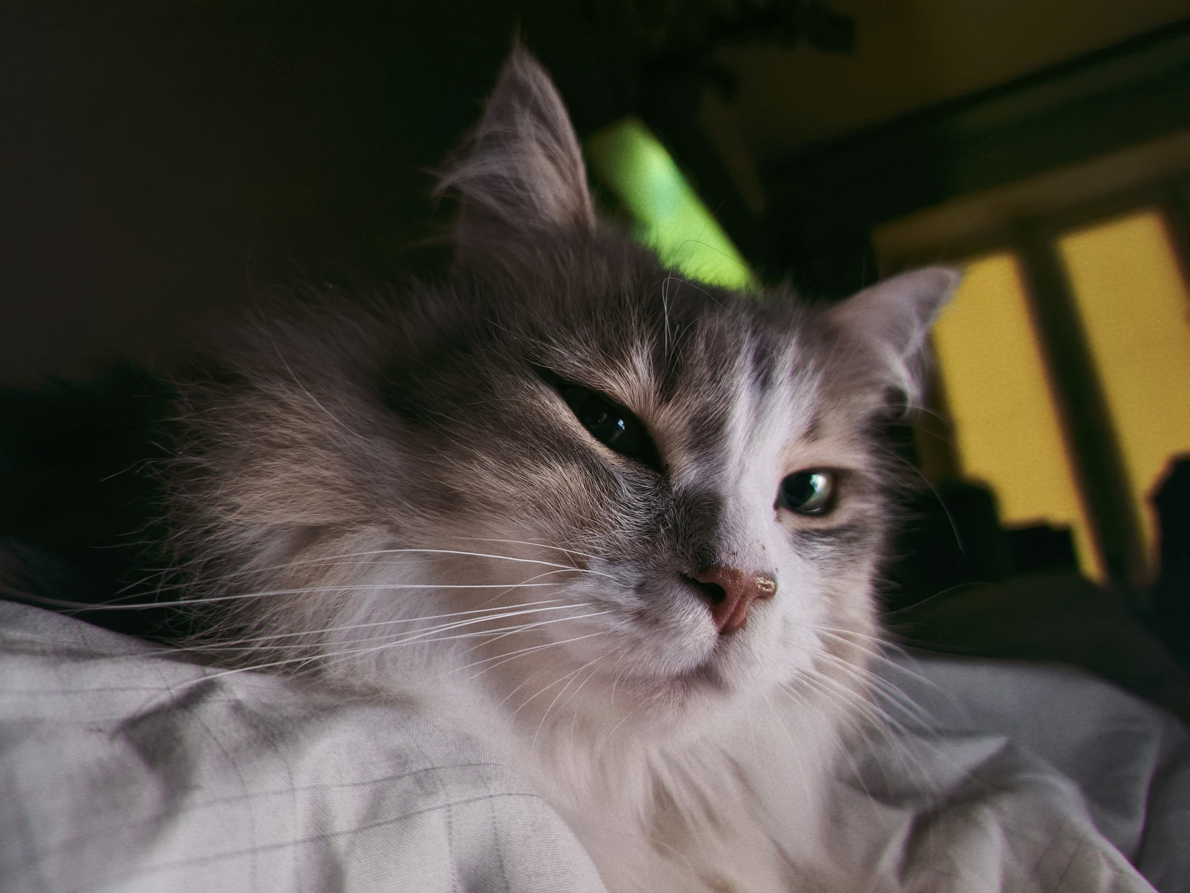 slide-1f056f74-bf07-42f3-9e5a-a52f6a215f5f