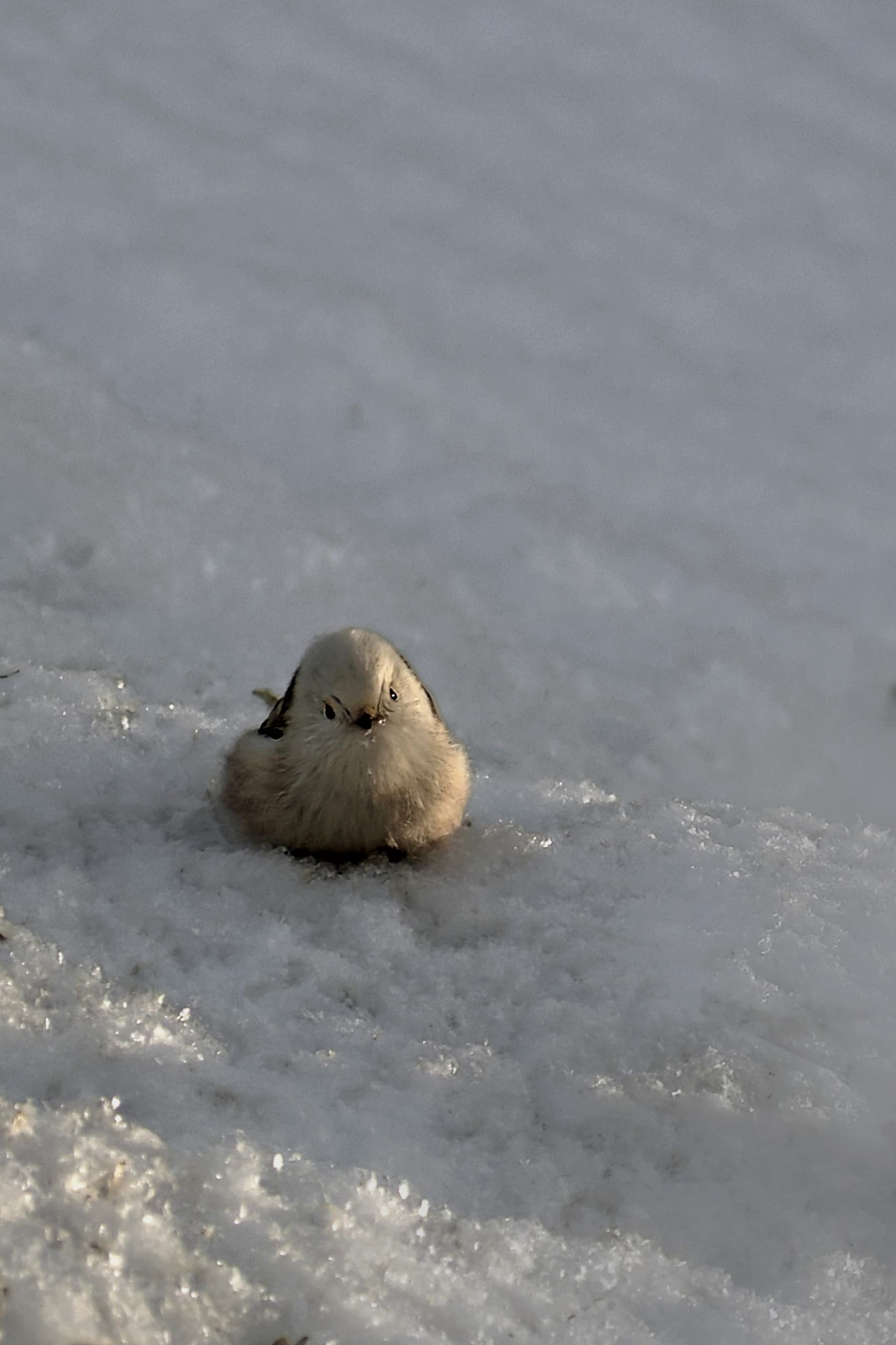 slide-1f0e685e-0f9a-4d3c-b4fb-1791fdbab93c