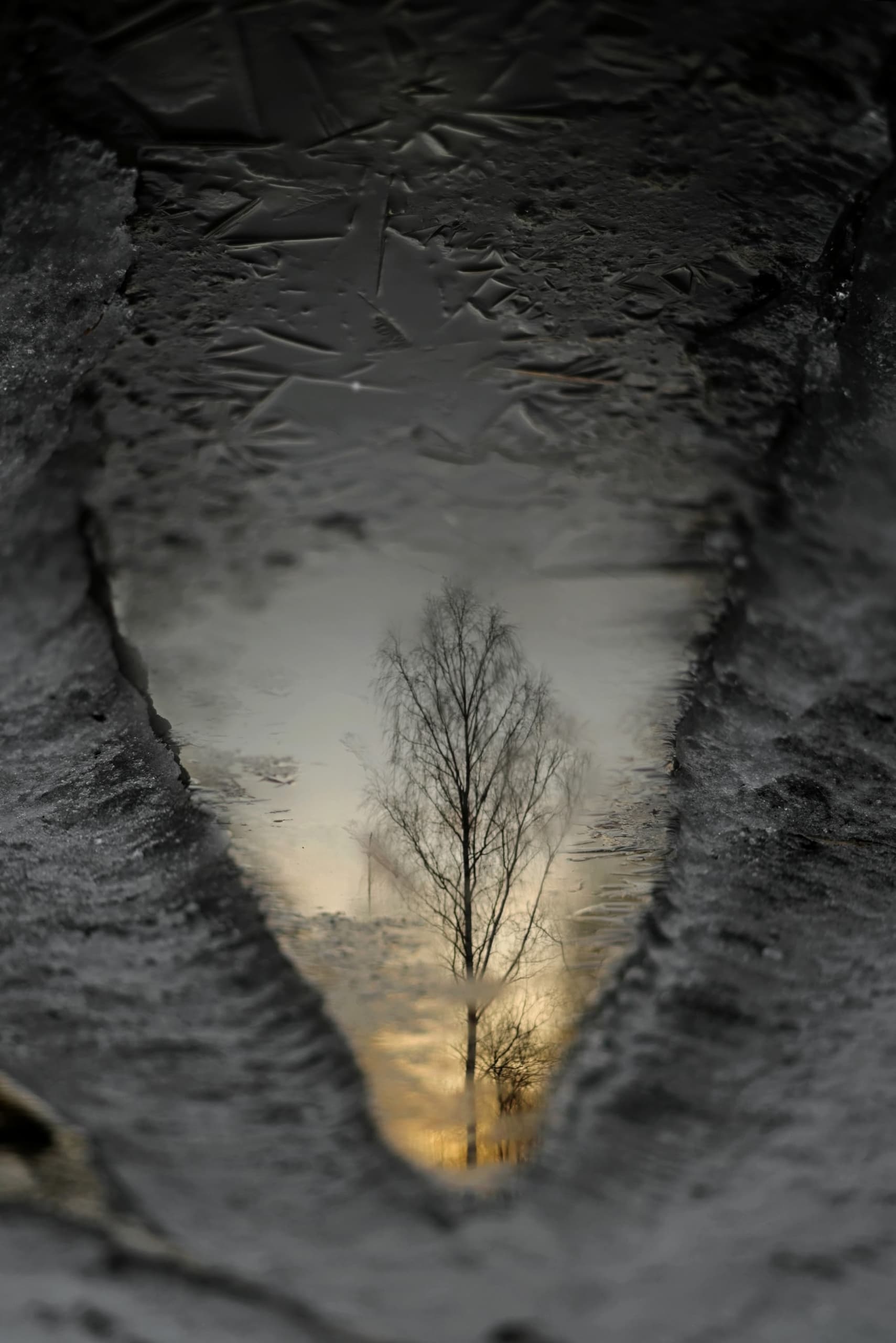 slide-2191631c-23b9-4227-98d3-b244013c3392