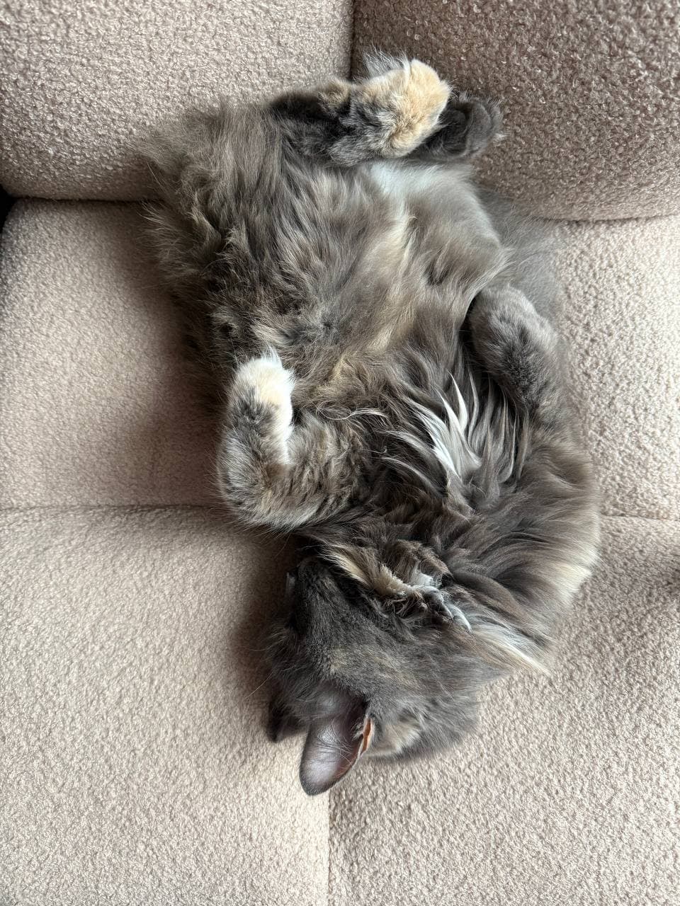 slide-21eb6e22-0404-4ca1-90fb-c6a4338f97a2