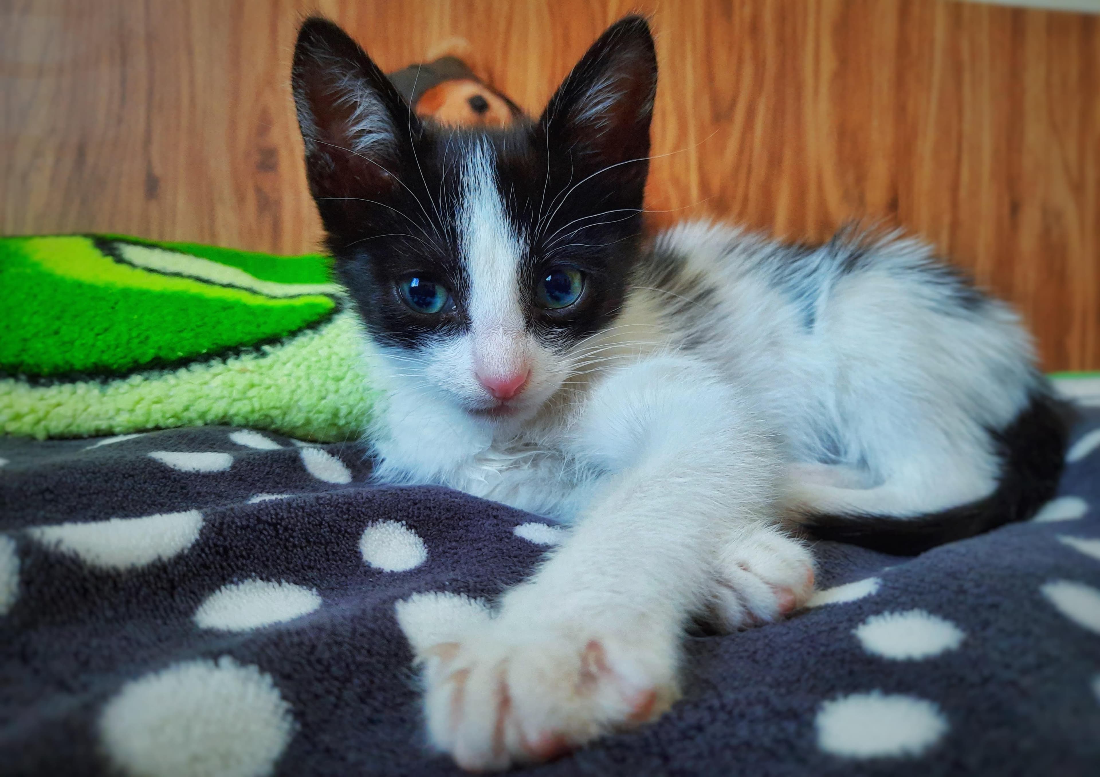 slide-224e7708-08ec-4832-9afe-ccfb3c7a8e2d