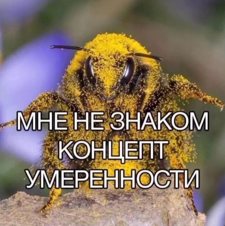 slide-2356b70c-a5d9-4024-b93f-4782b5f80993