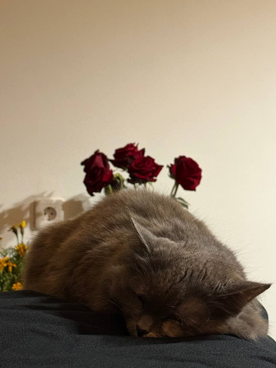 slide-24b6ae62-e48a-49a8-ad47-714f042b147e