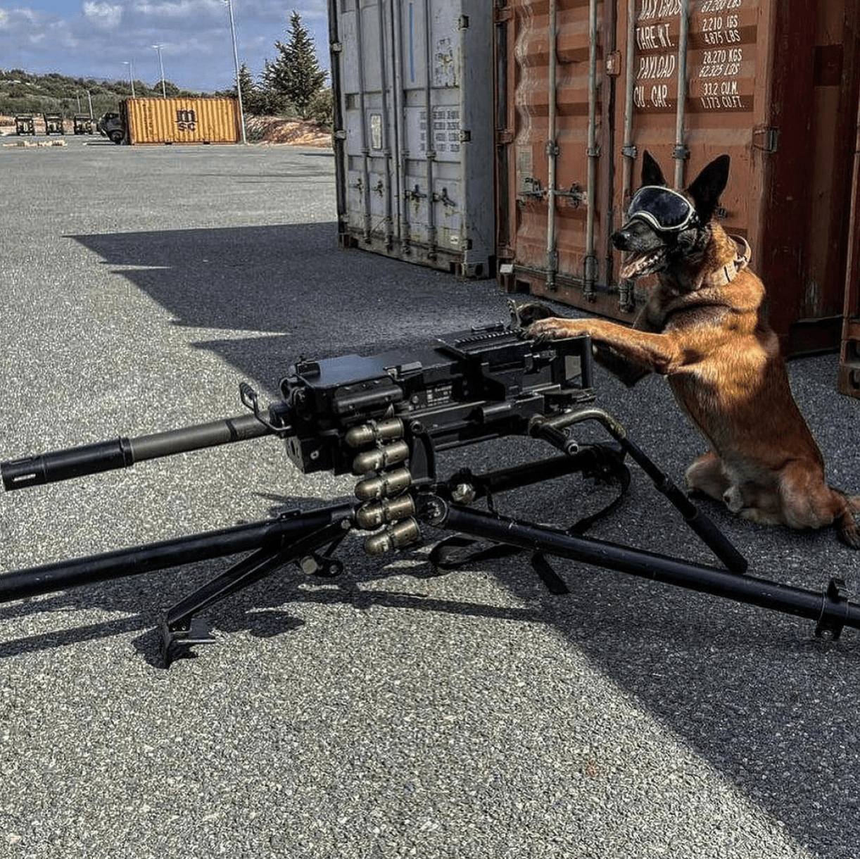 slide-254b141b-66c2-47e3-b922-a9381bfb50d2