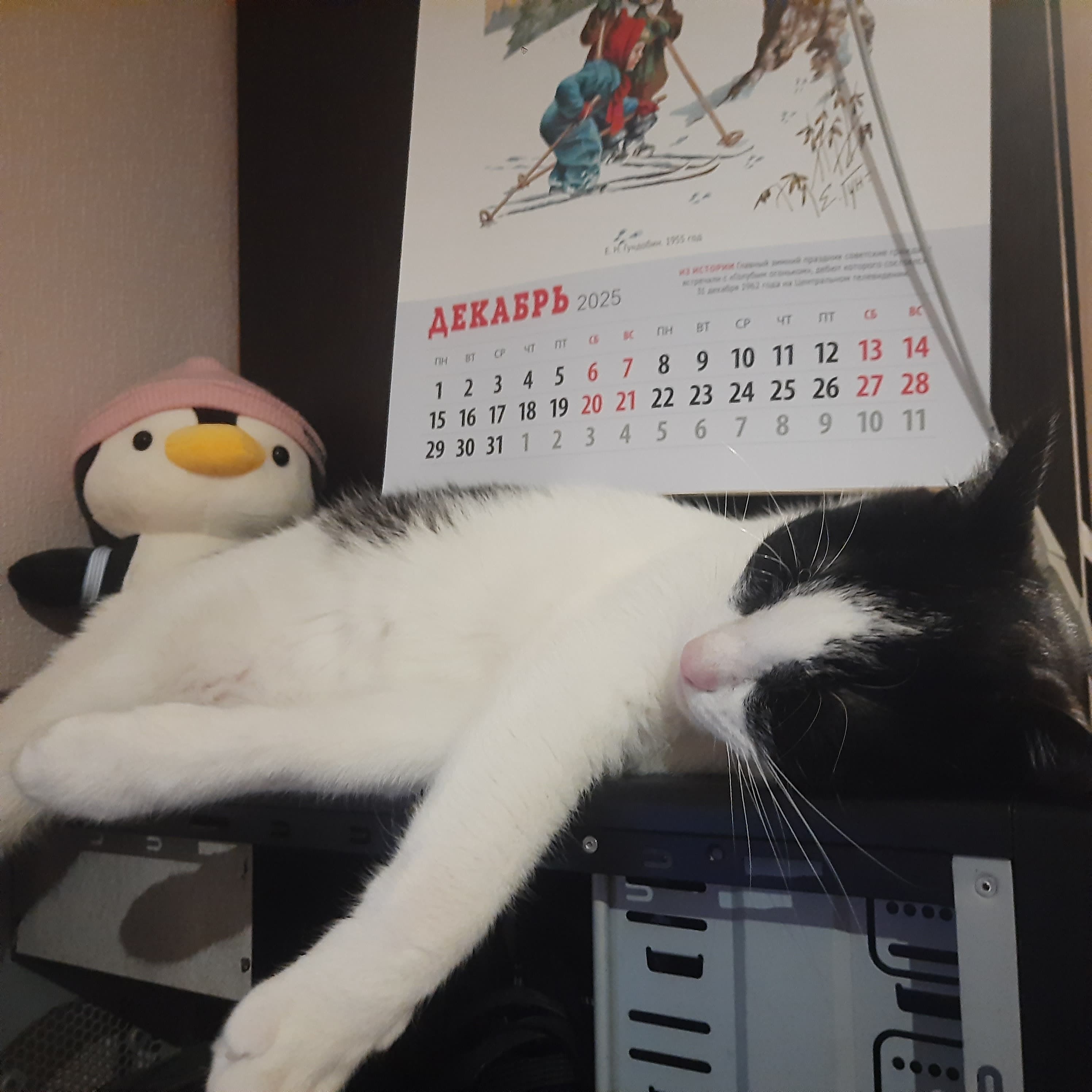 slide-25c0e6af-509a-4741-b92a-695516b64a30