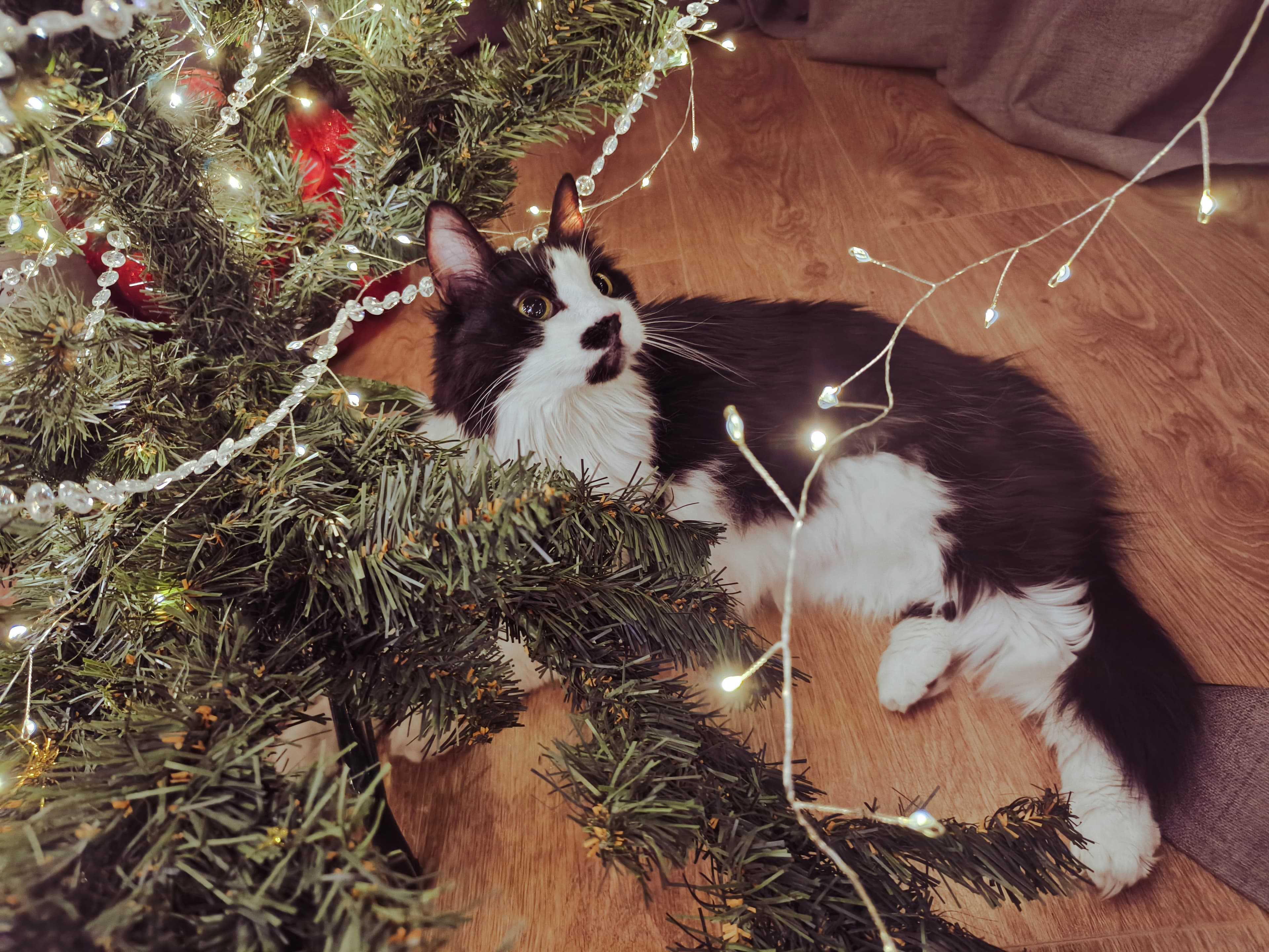 slide-26d13df8-0a95-4279-81a5-c209b89df32c