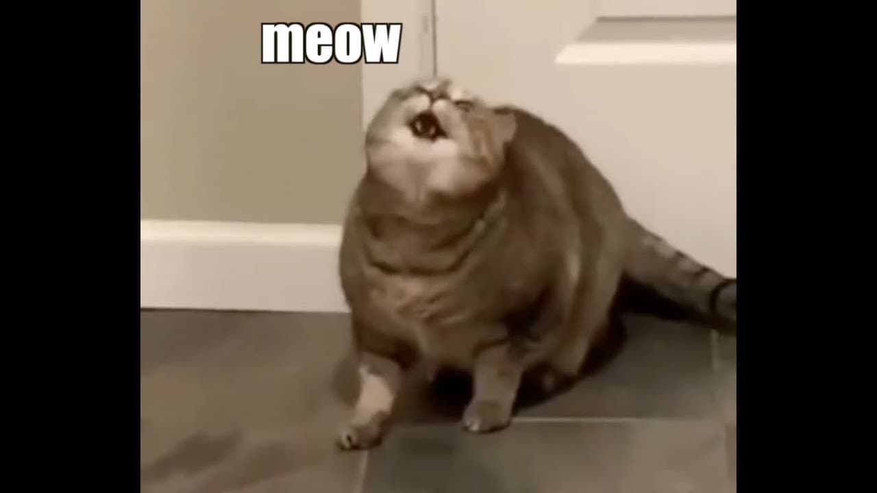 slide-276c1241-d382-4df0-9684-5ba55d922b3a