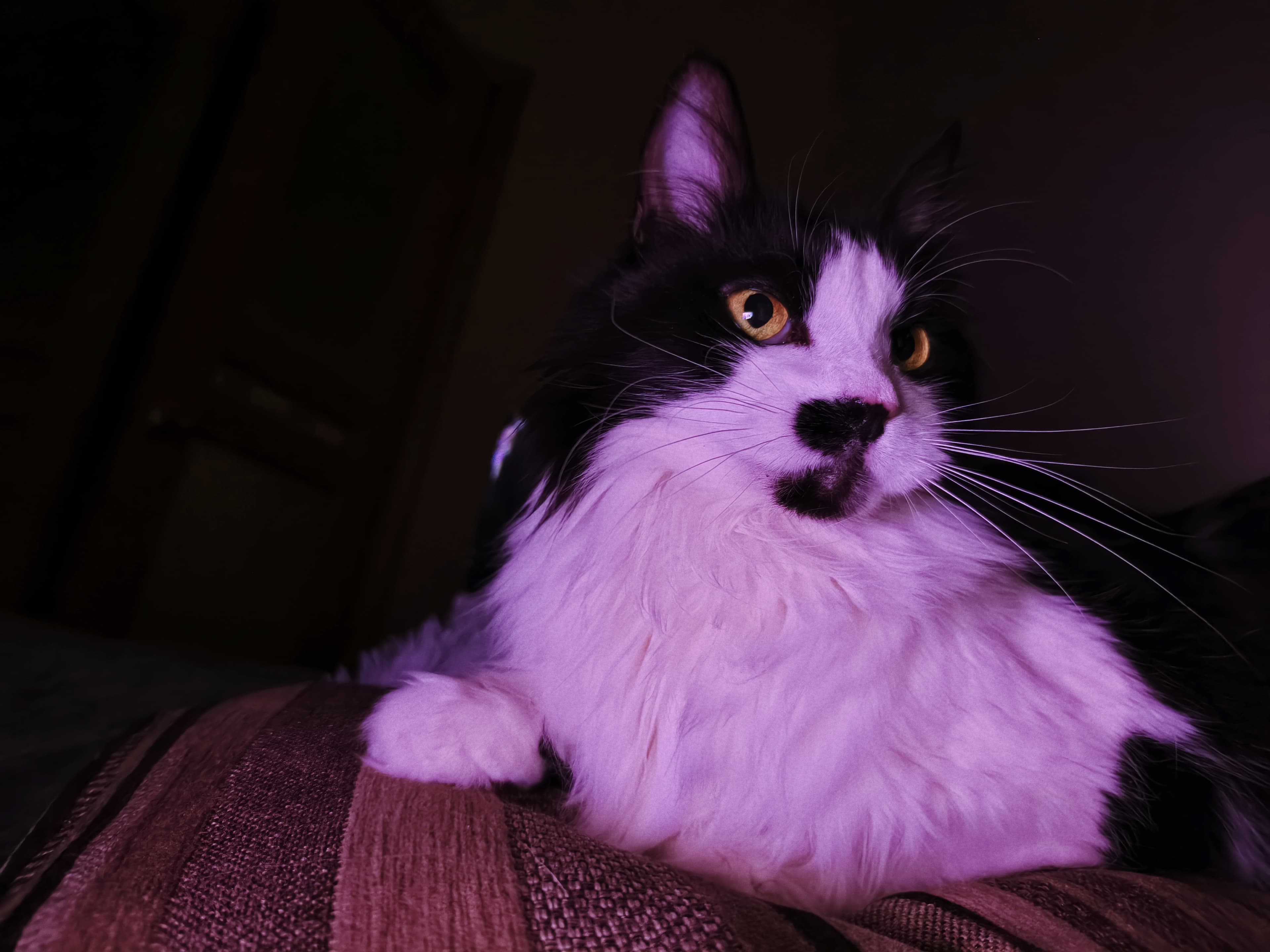 slide-280bf253-f69f-471b-8a65-026adab1be65