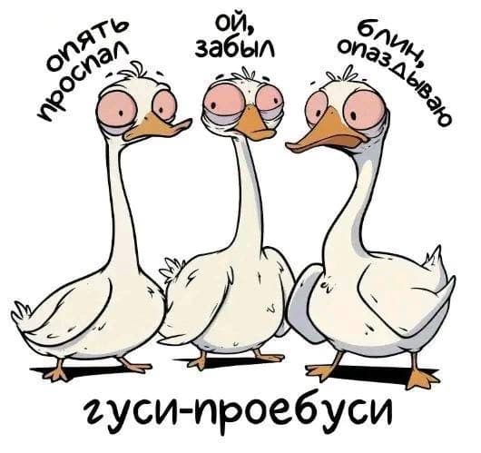 slide-28eb6317-2633-454f-a5b0-e690ef03a581