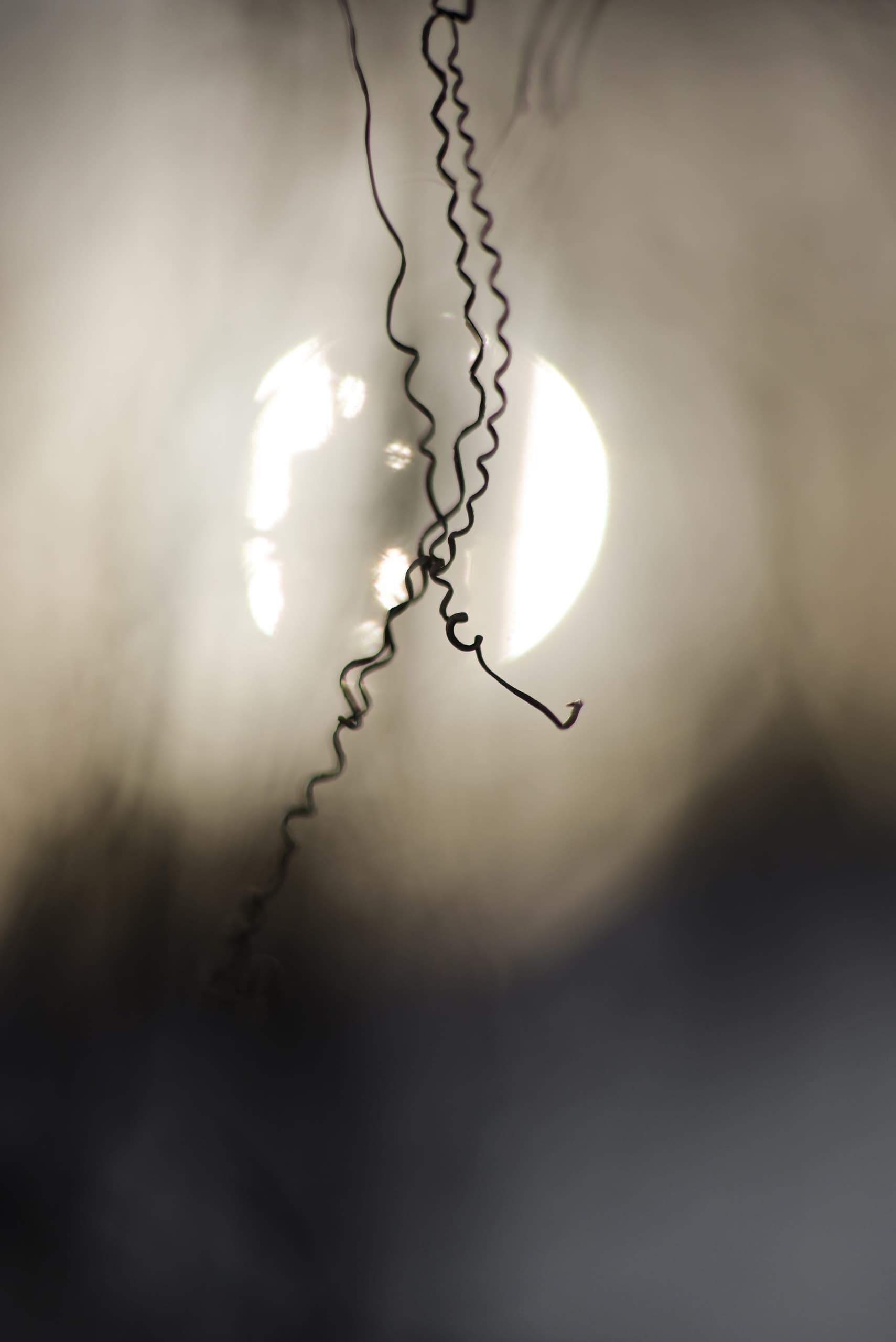 slide-294cfd8a-27c1-4b53-b23f-9706b0bfa2b6