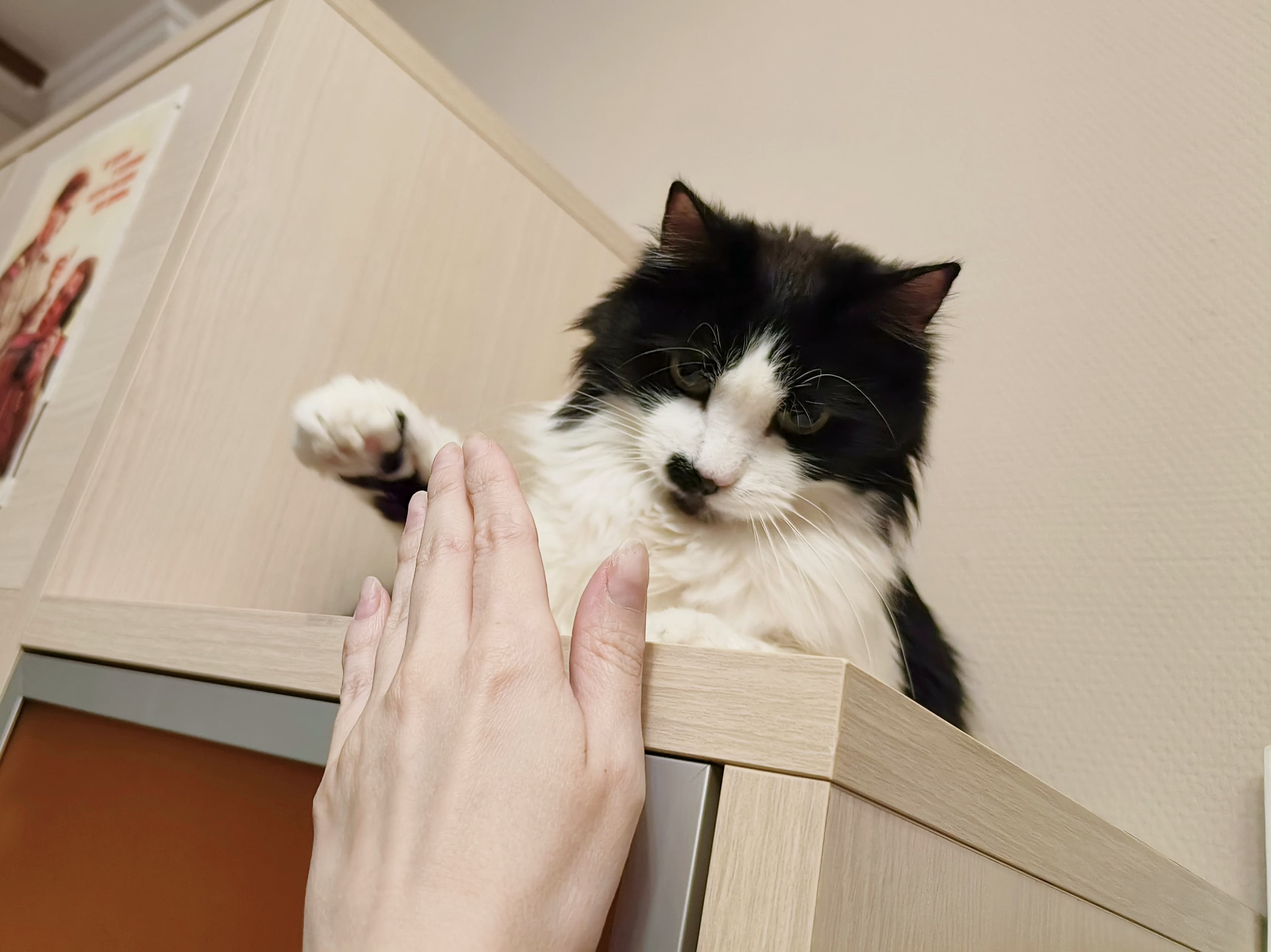 slide-2a2ddb56-e7f5-4f08-8360-d95c3ab46846