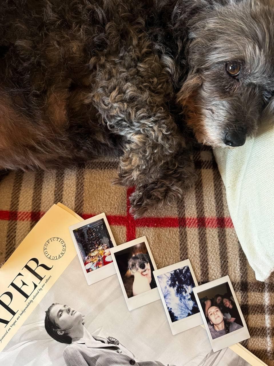 slide-2acec3fa-f5f7-472c-ad1b-3f7900f29f67