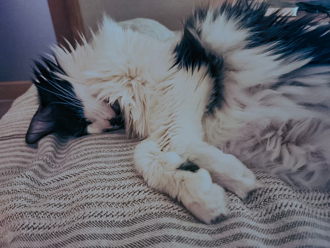 slide-2b6ef772-7387-42f7-b1bb-bf9ac059a57d