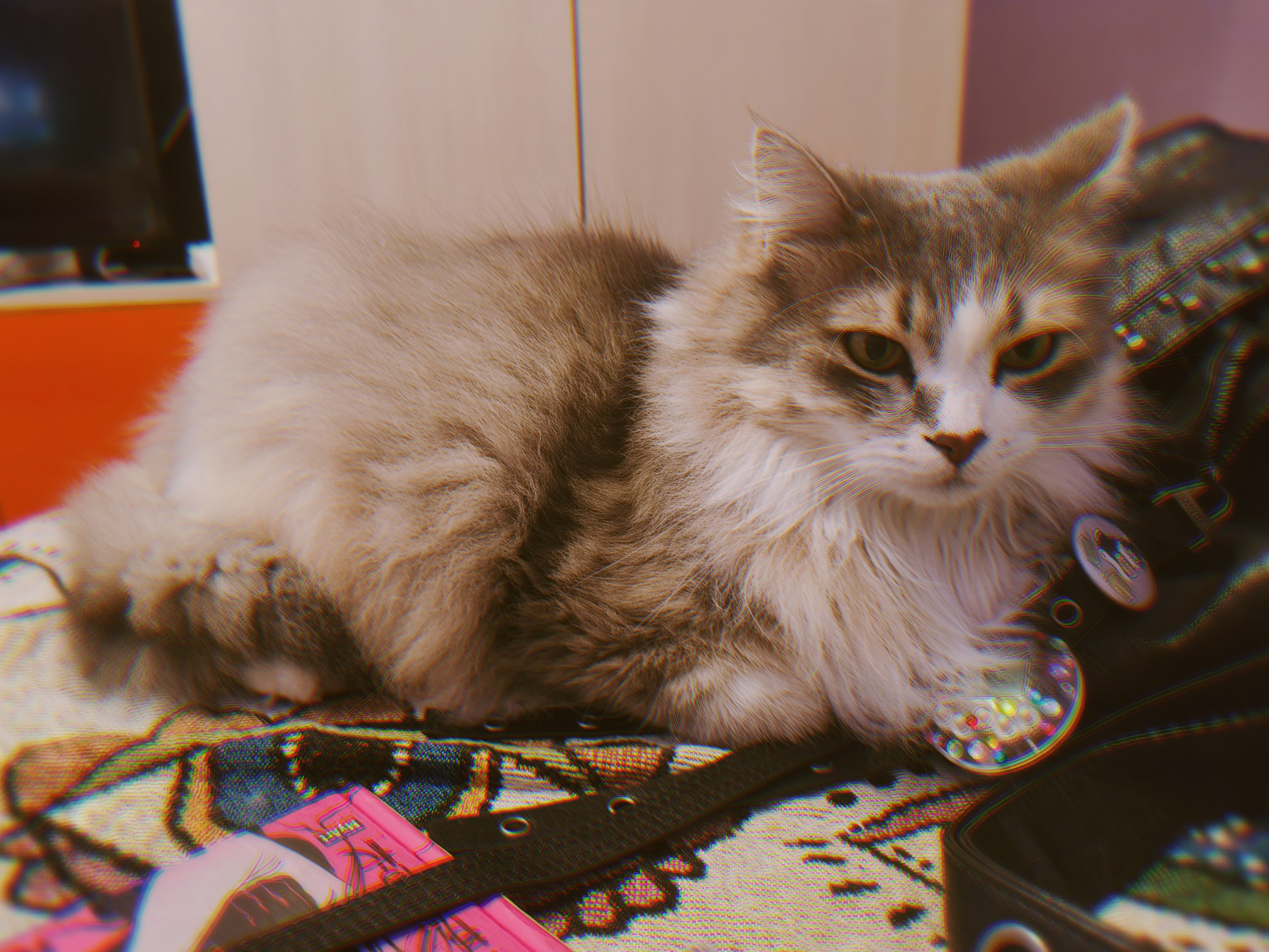 slide-2db74fa7-73fb-4367-a358-26f9bbd6ec36