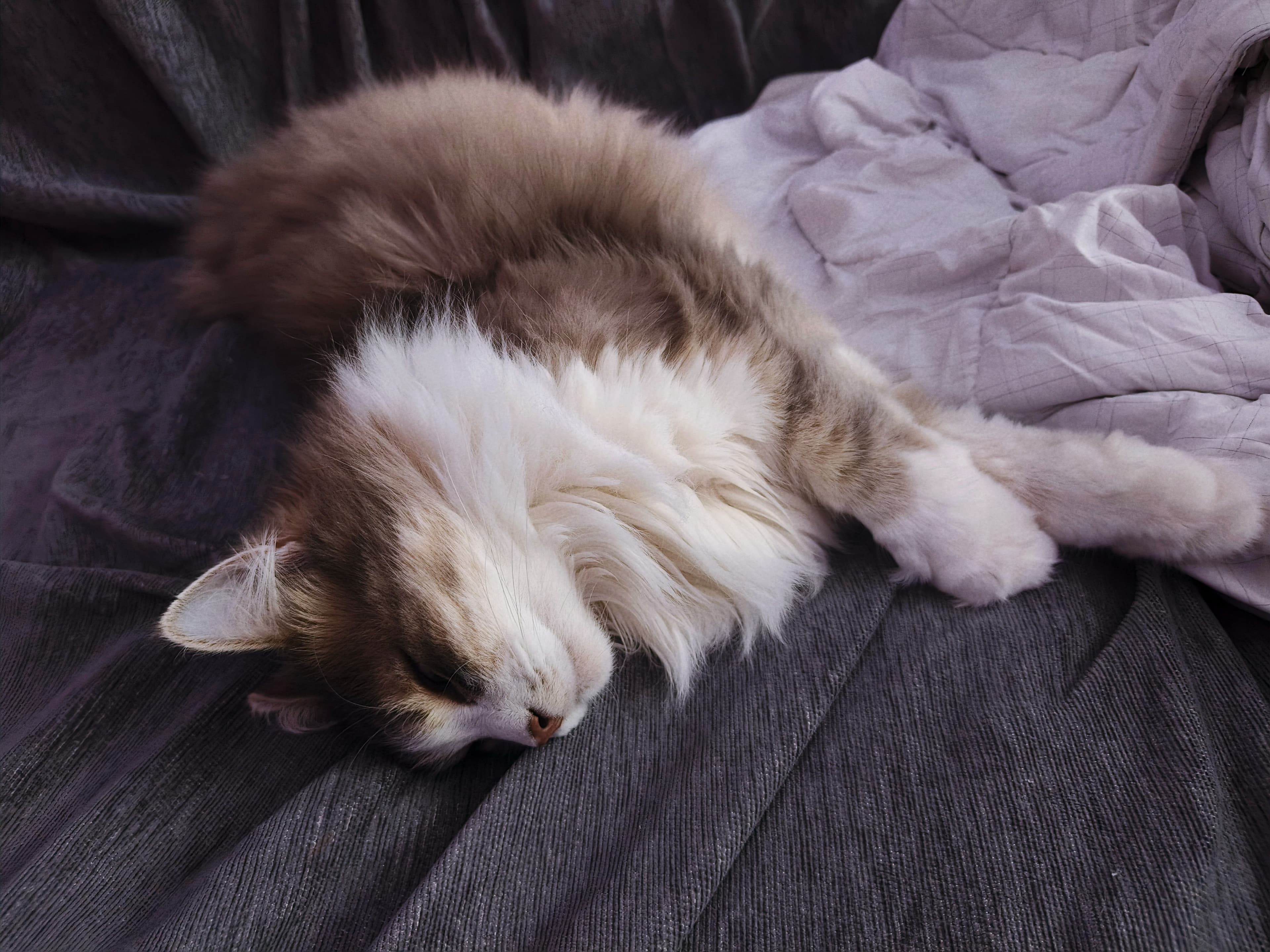 slide-2fdcd251-a2eb-46c2-ac1d-668b344b59ac