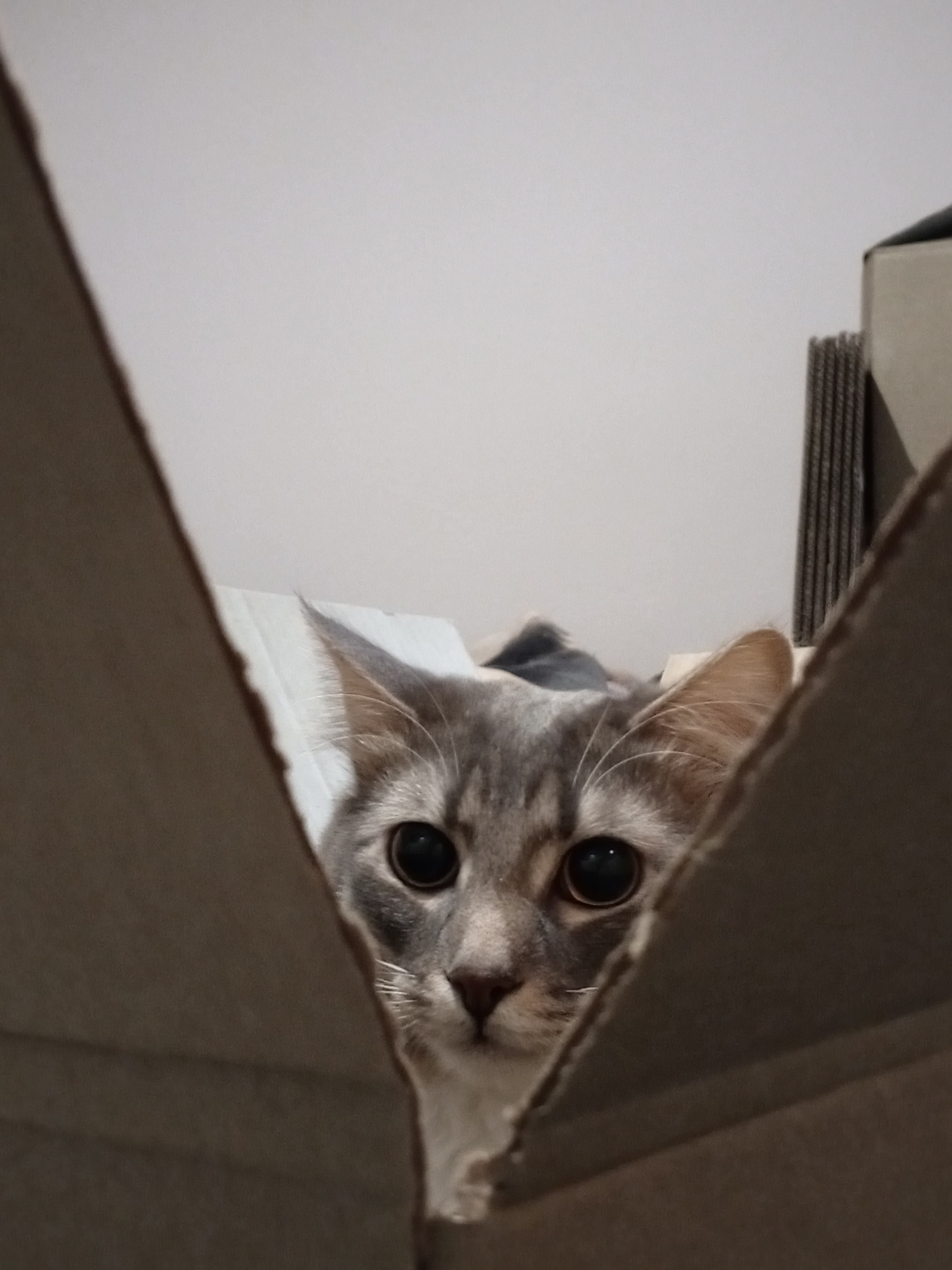 slide-328a0a75-8f85-4d69-b557-91fb27a3cd74