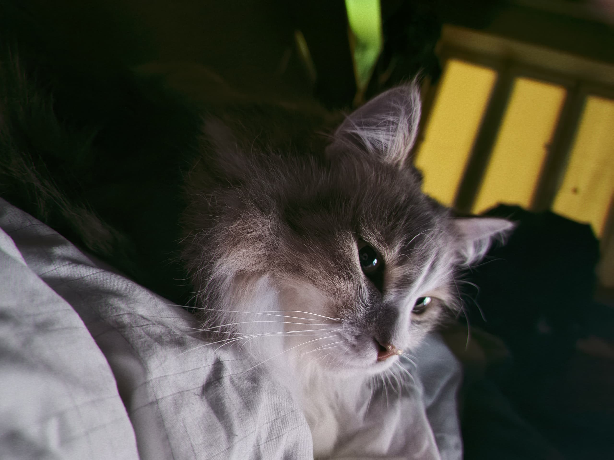 slide-33a1daeb-7c15-42c4-8486-b94c009ae96c