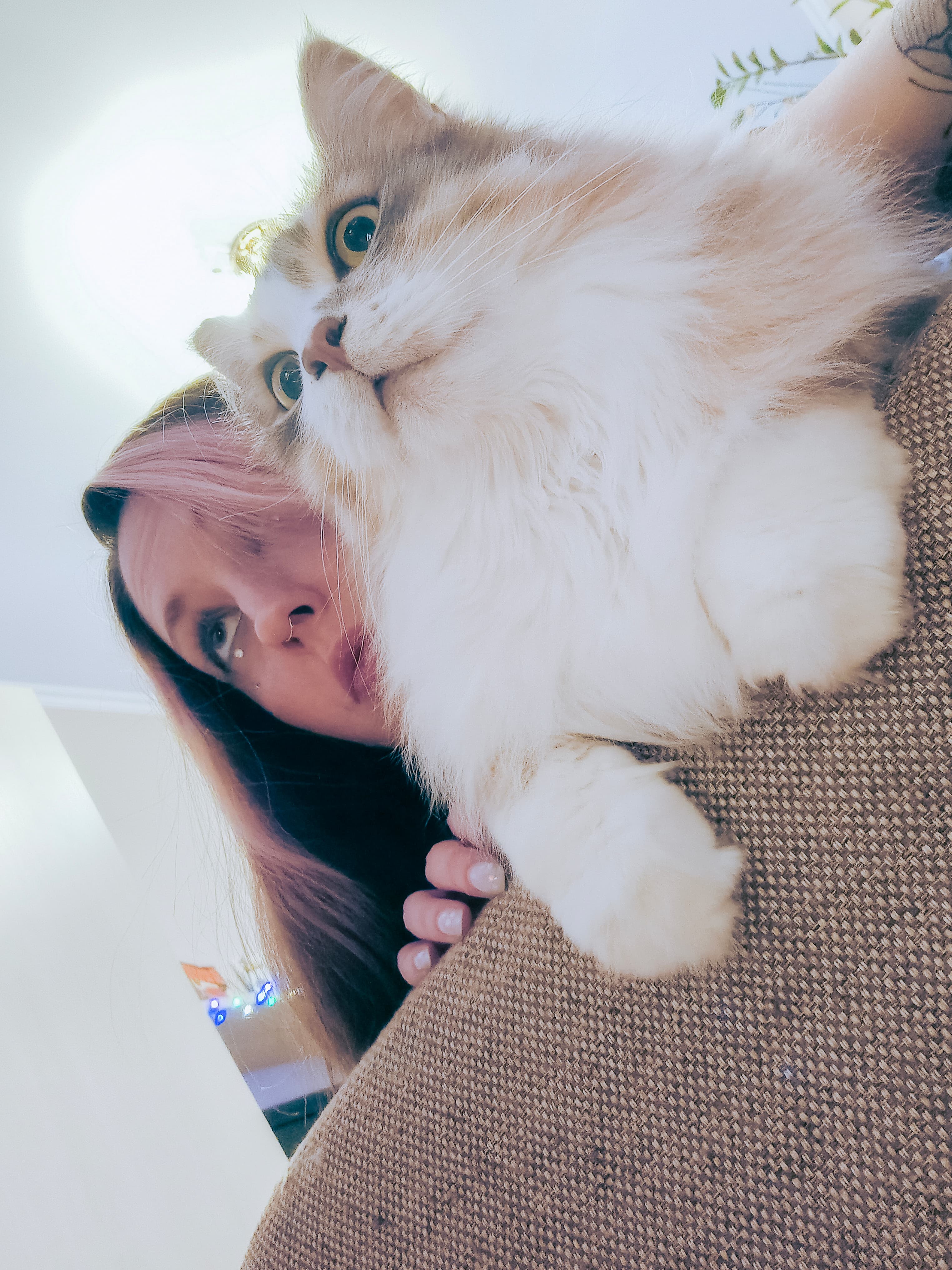 slide-343c684c-3521-43ac-b0e7-4ff4c7469d2d