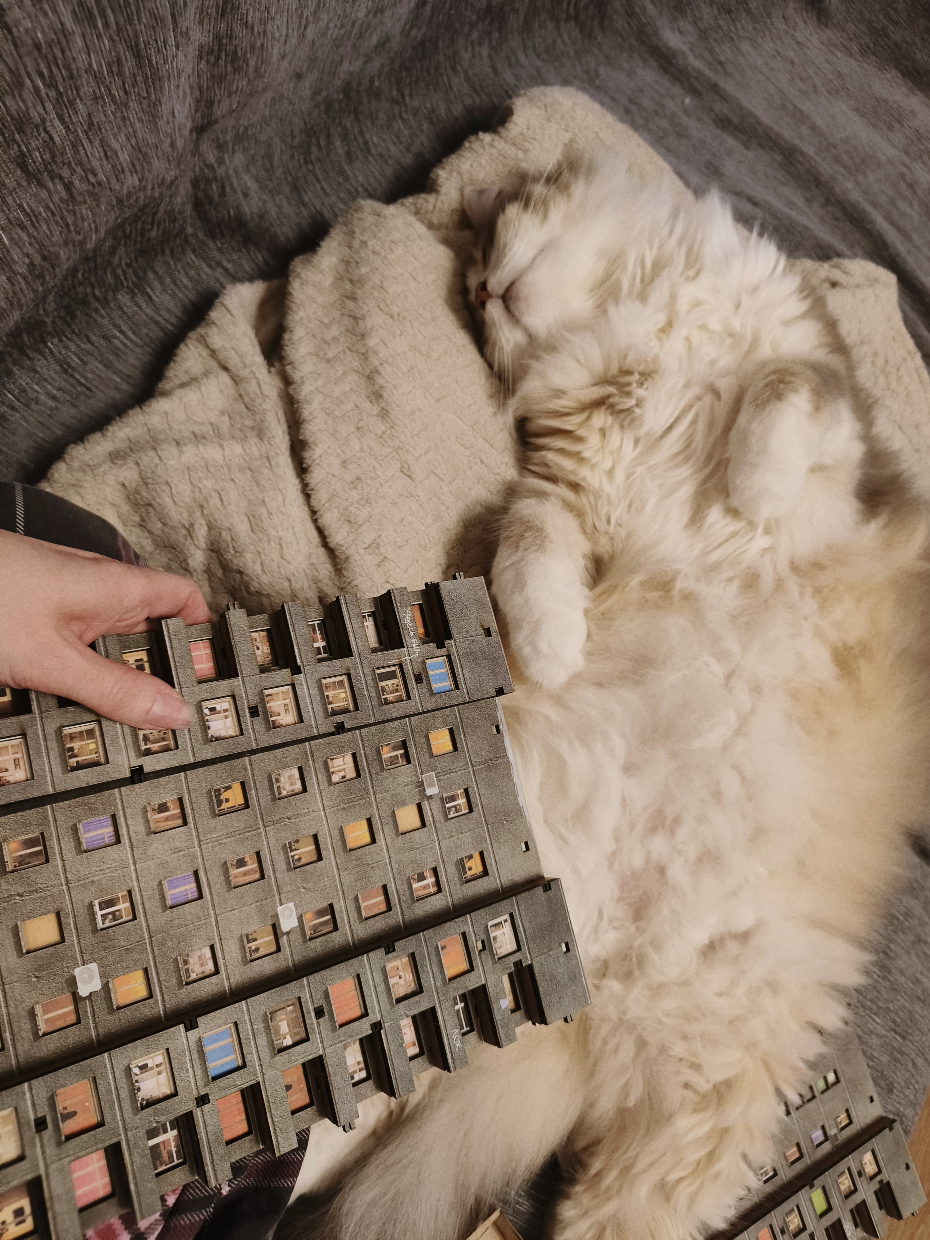 slide-3479cf9f-1815-4b30-a9d1-146ea20a47a8