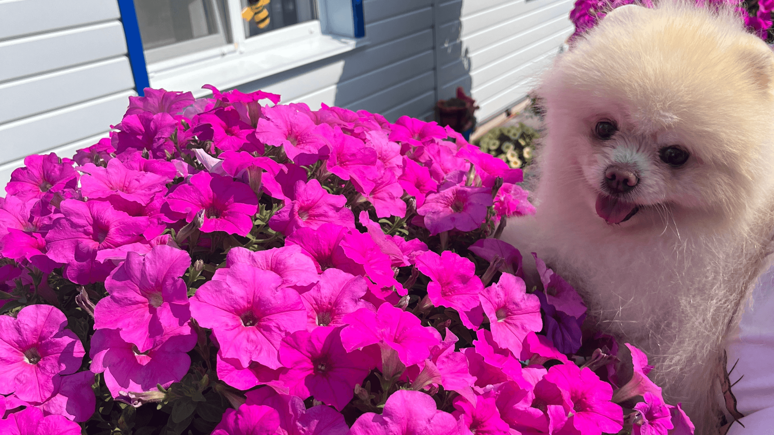 slide-379f1226-5283-4b38-8fa4-d34e9ad70ebb