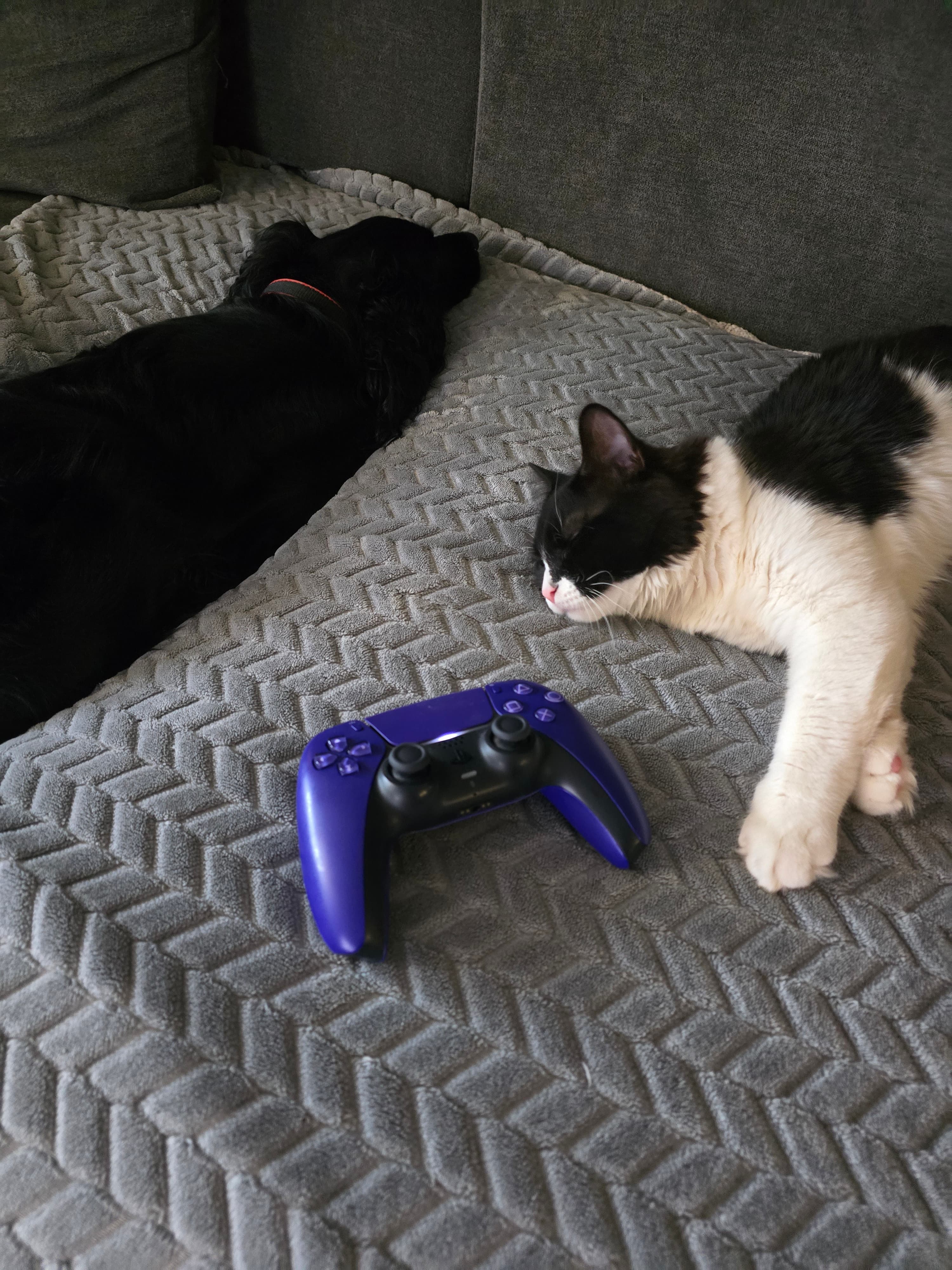 slide-37bf38d3-c076-4c16-8f23-ddb741435040