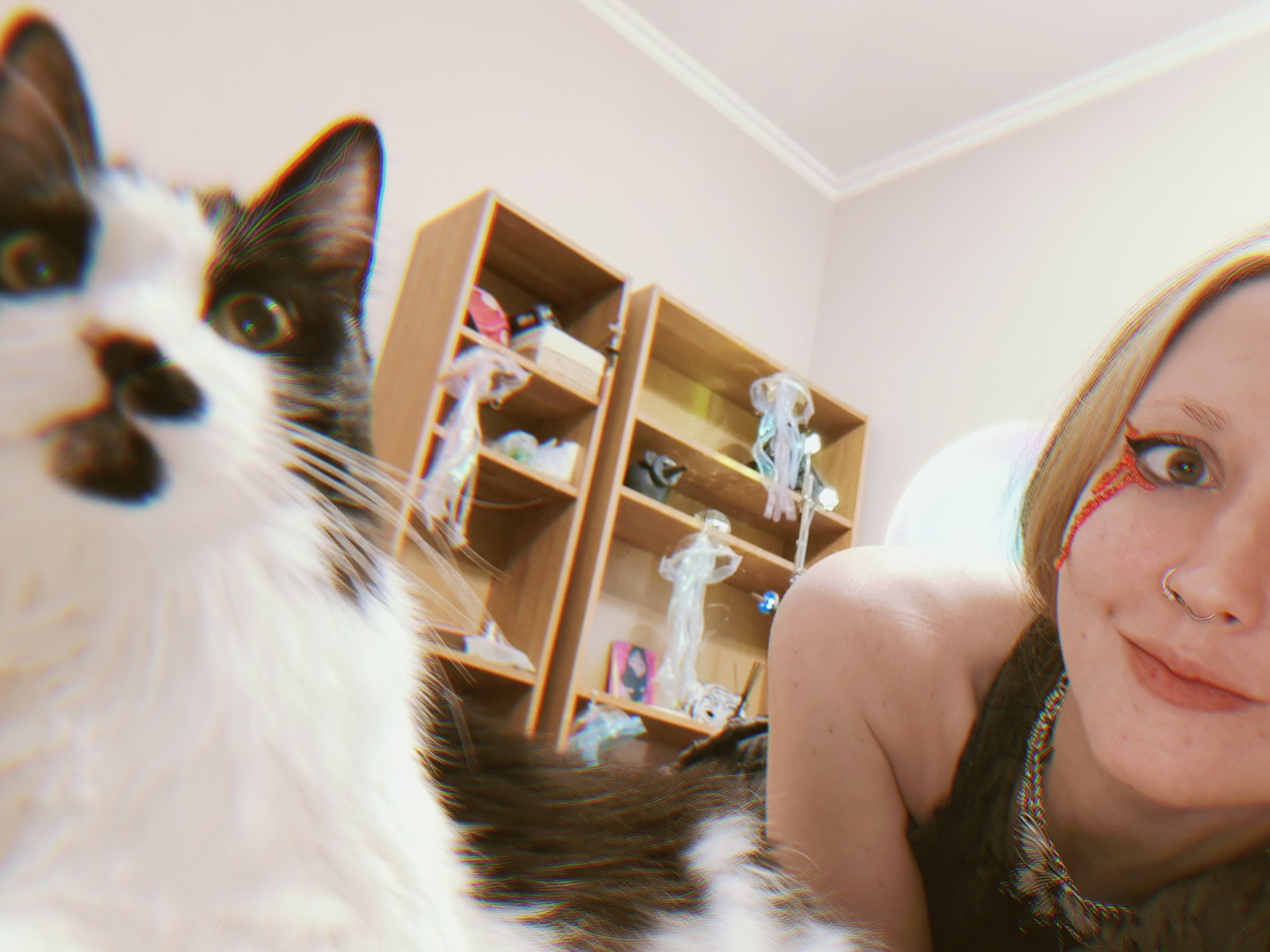 slide-38c2f8fd-c9ca-4e41-8e40-c61f7e837342